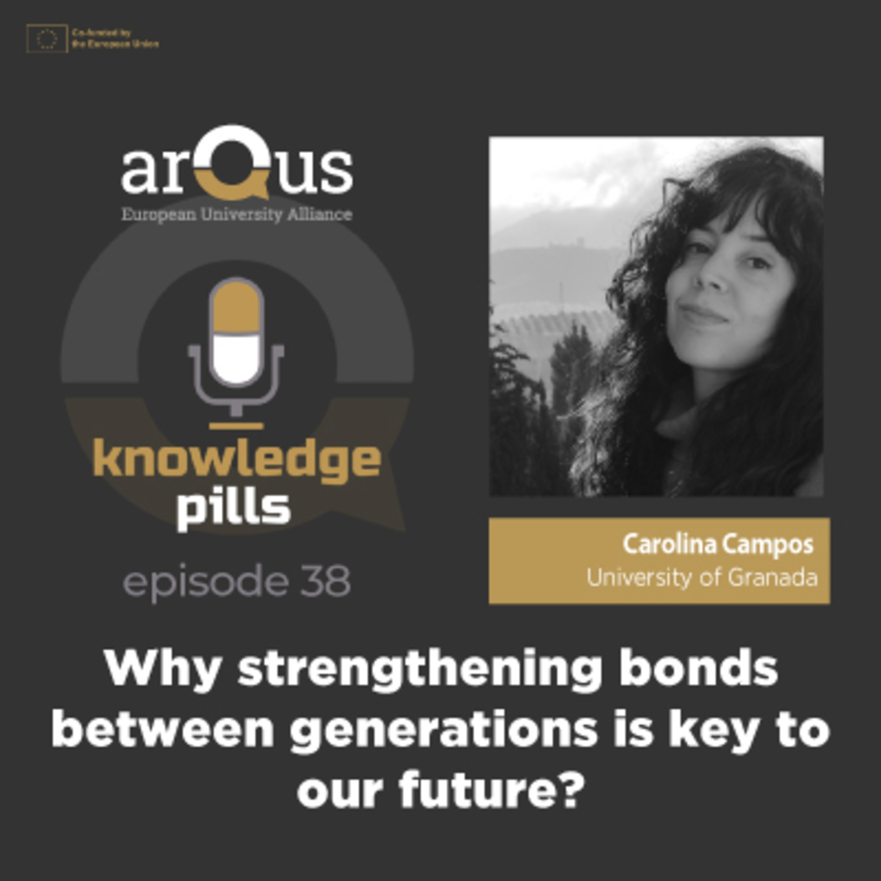 Arqus Knowledge Pills