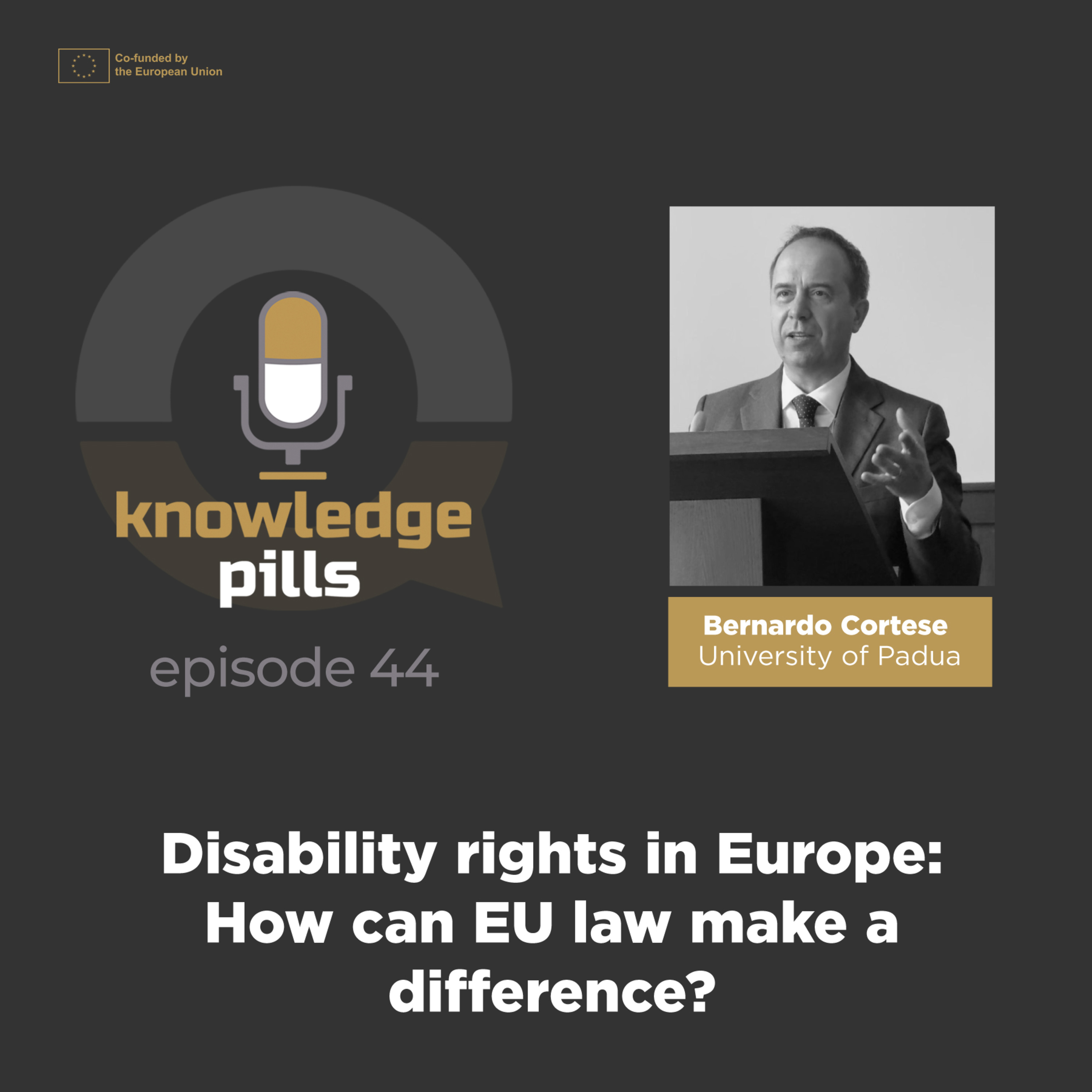 #44: Disability rights in Europe: How can EU law make a difference? episode artwork