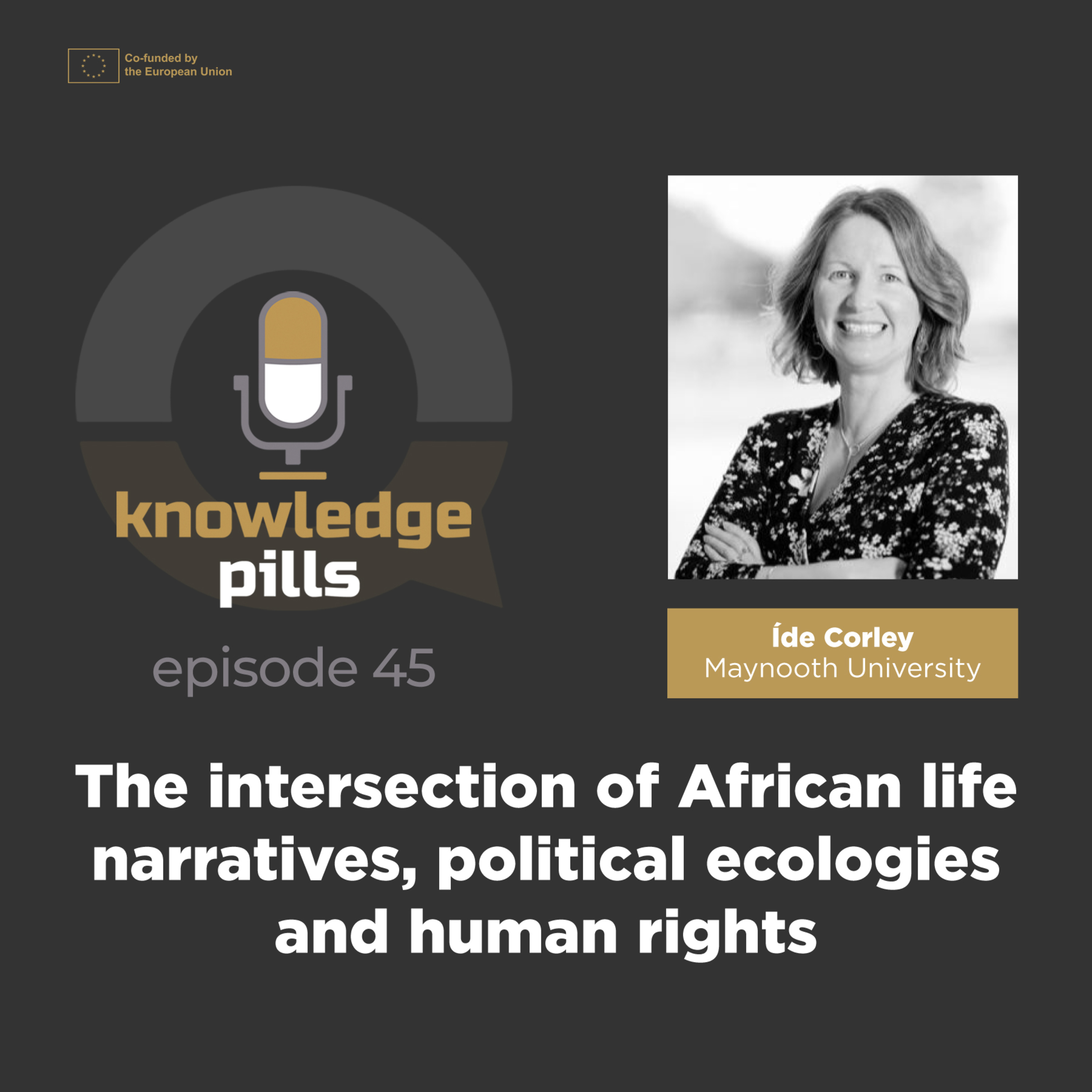 #45: The intersection of African life narratives, political ecologies and human rights  episode artwork