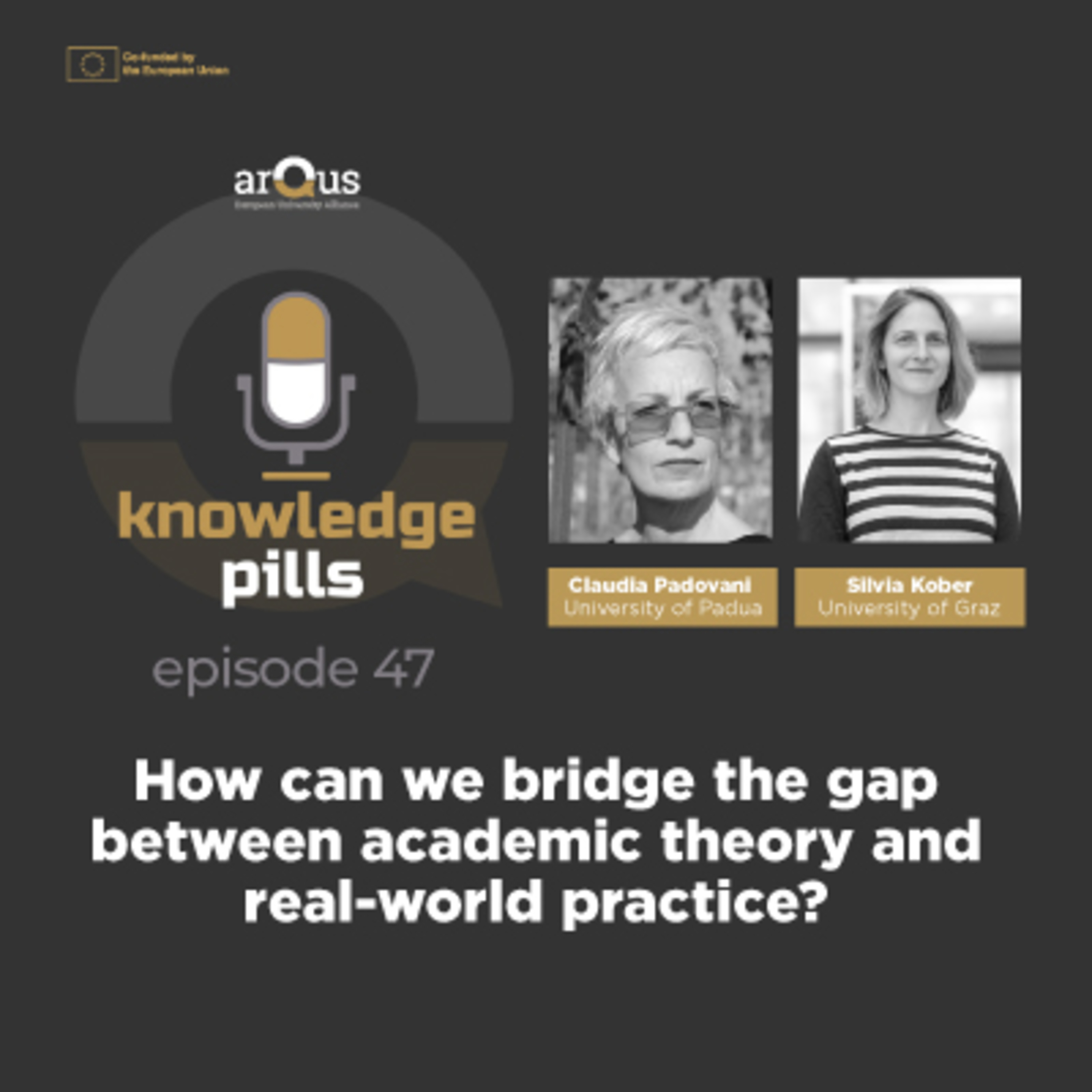 #47: How can we bridge the gap between academic theory and real-world practice?  episode artwork