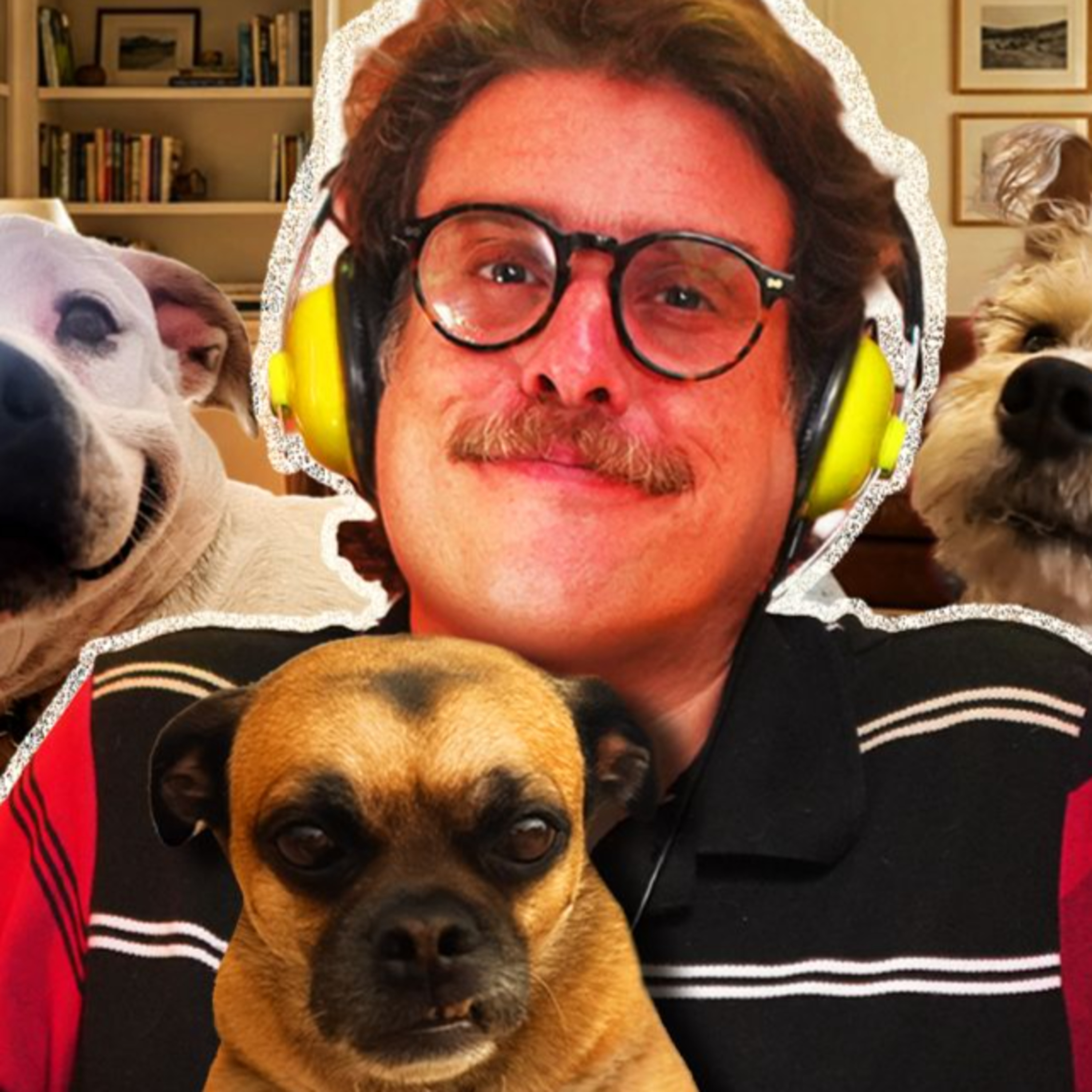 Cosas que NO debes hacer cuando vives con mascotas 🐶🐱