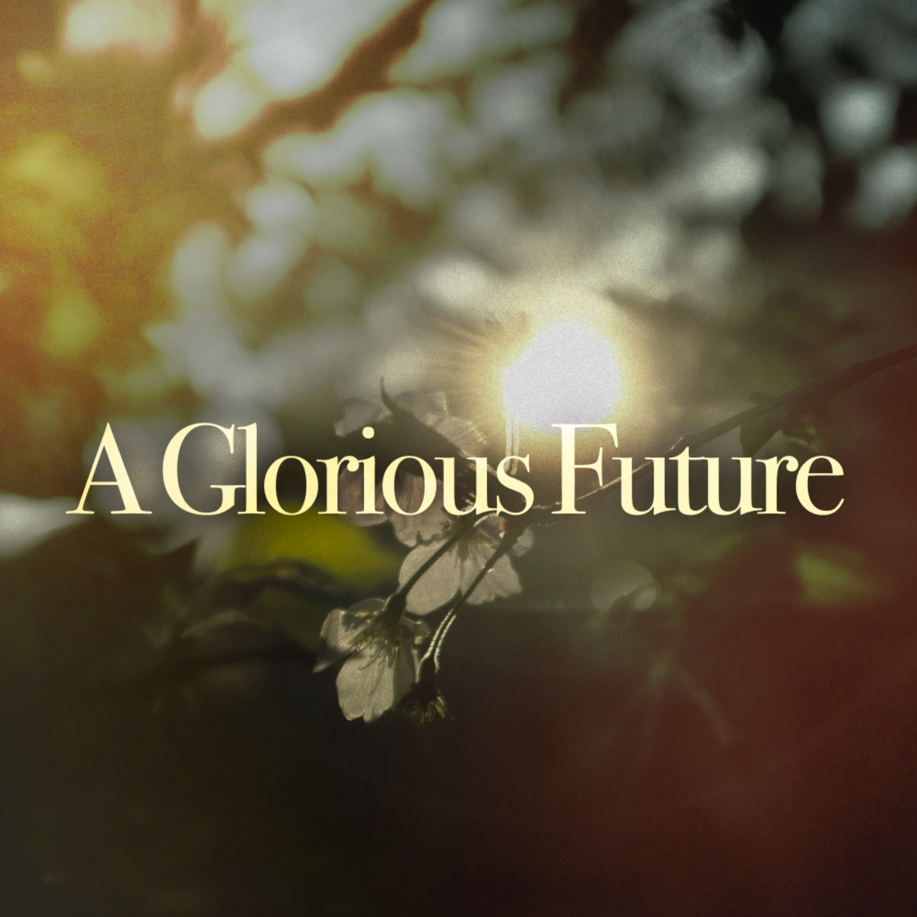 A Glorious Future - Isaiah 35: 1-10 episode artwork