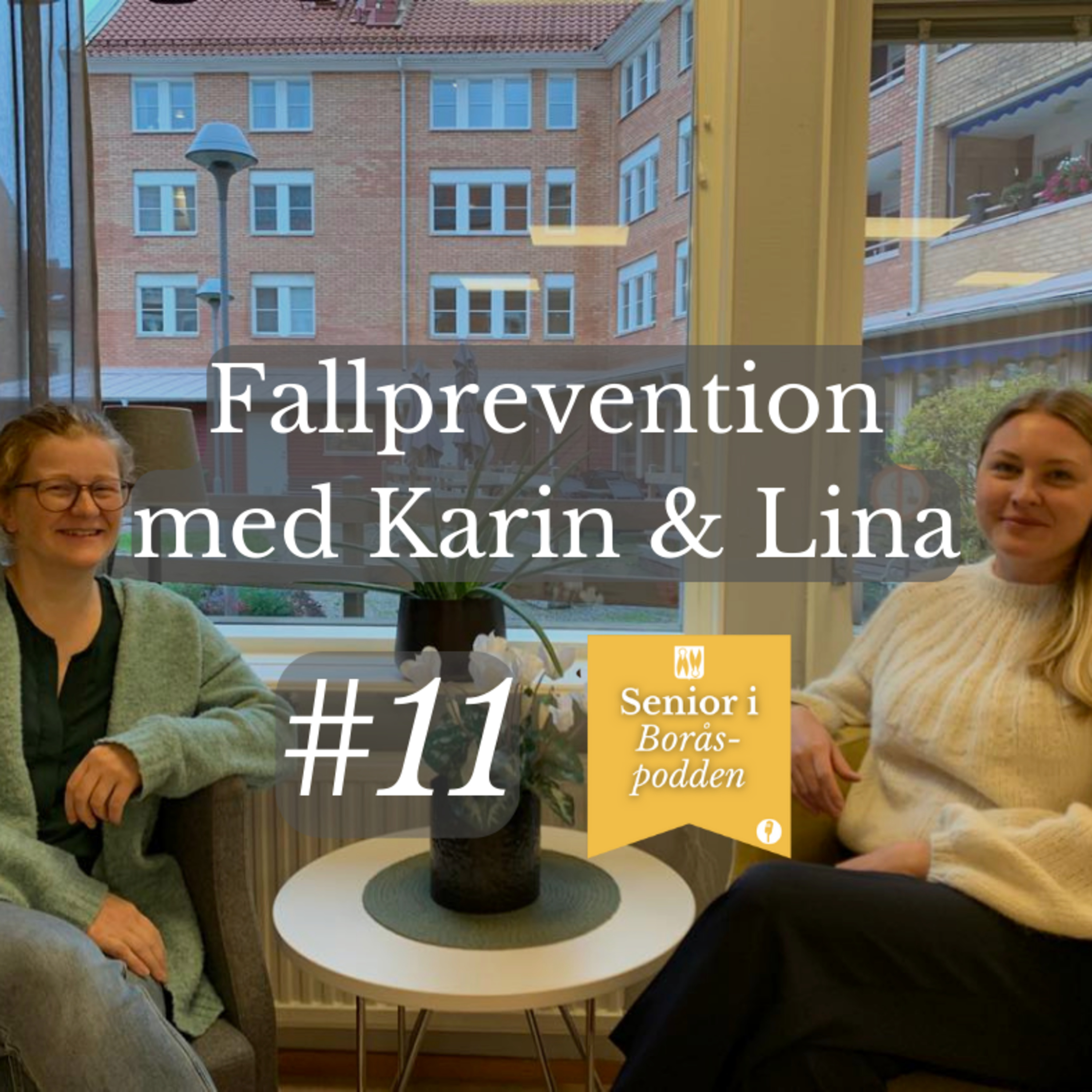 Senior i Borås-podden