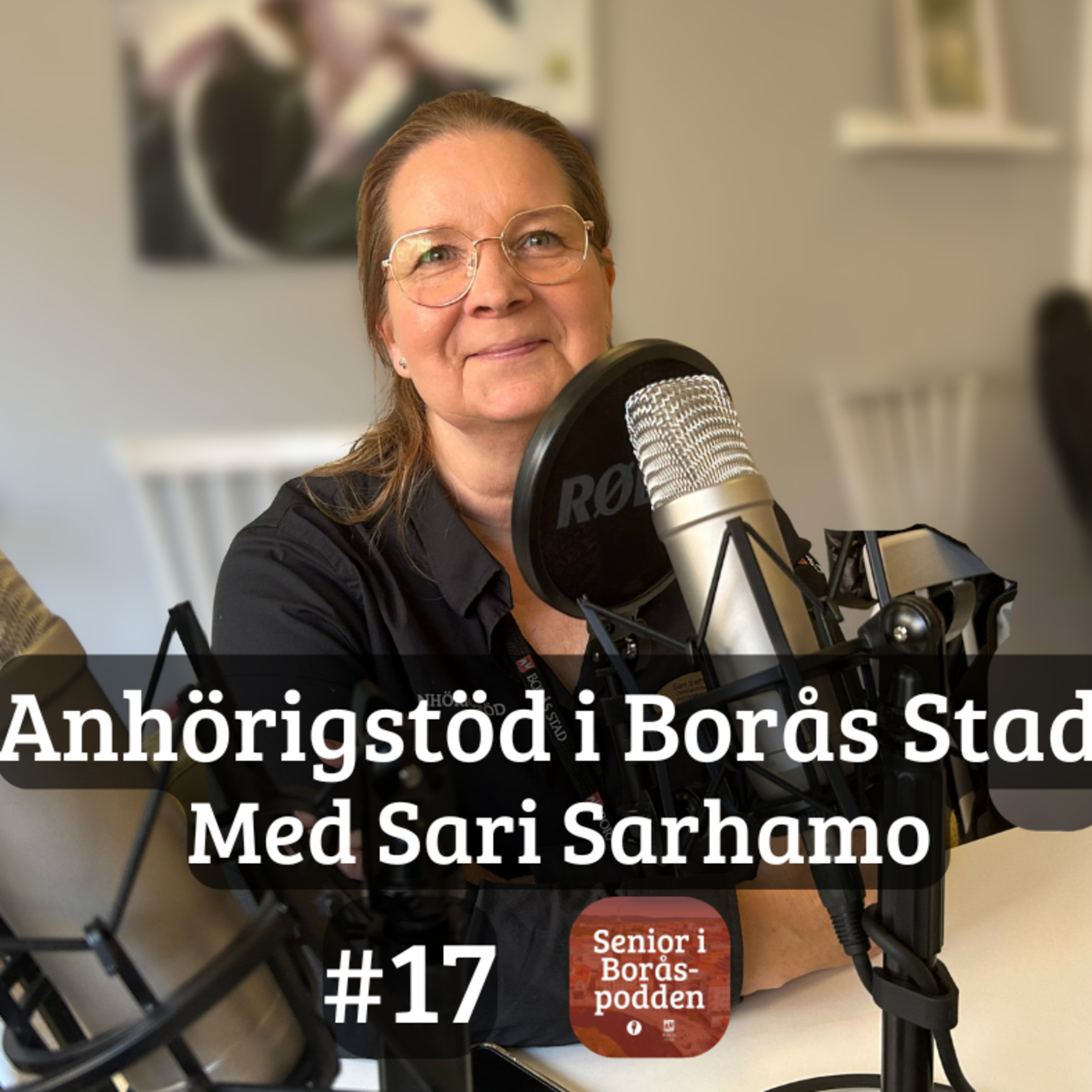 #17 - Anhörigstödet i Borås Stad, med Sari Sarhamo episode artwork