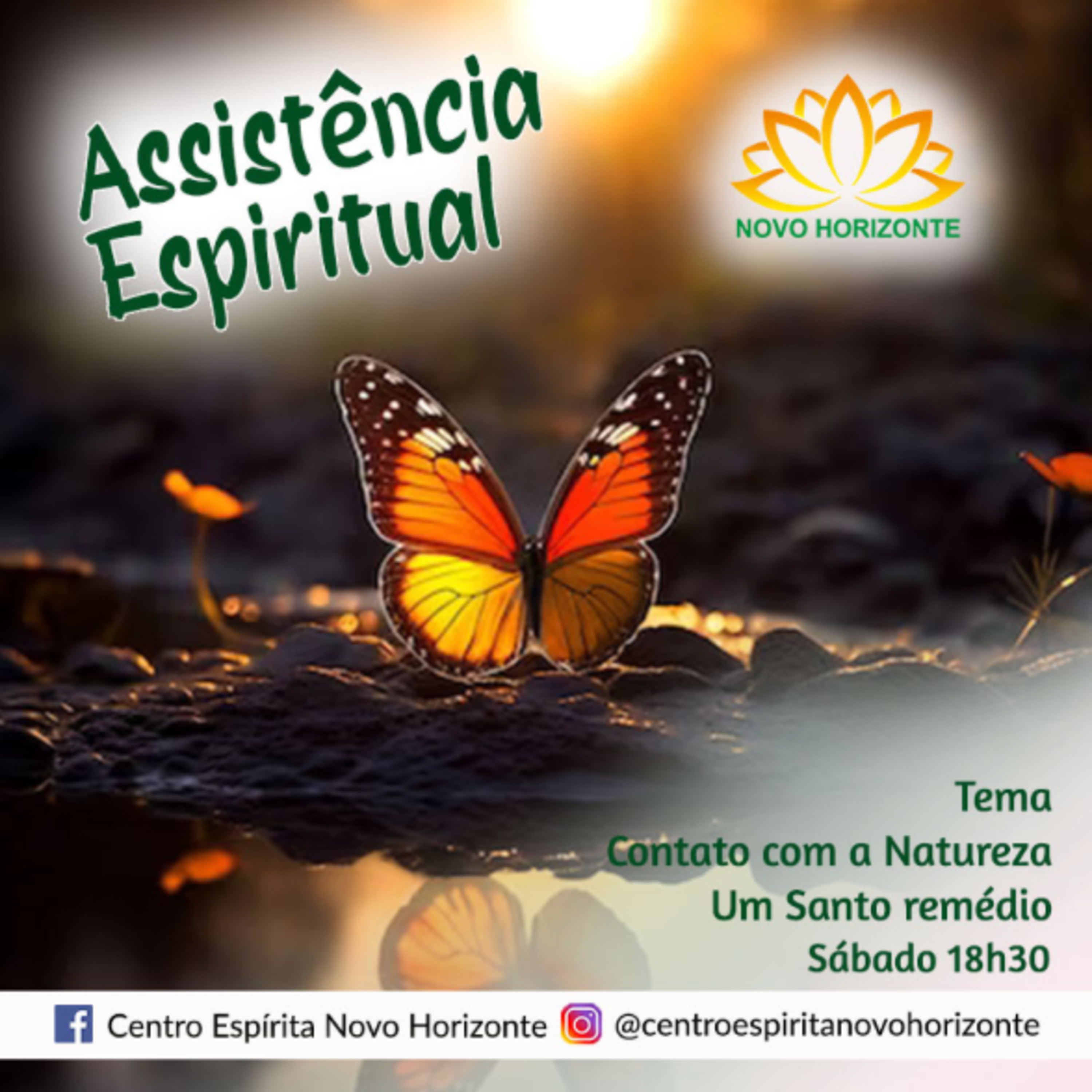 Novo Horizonte - Preleções