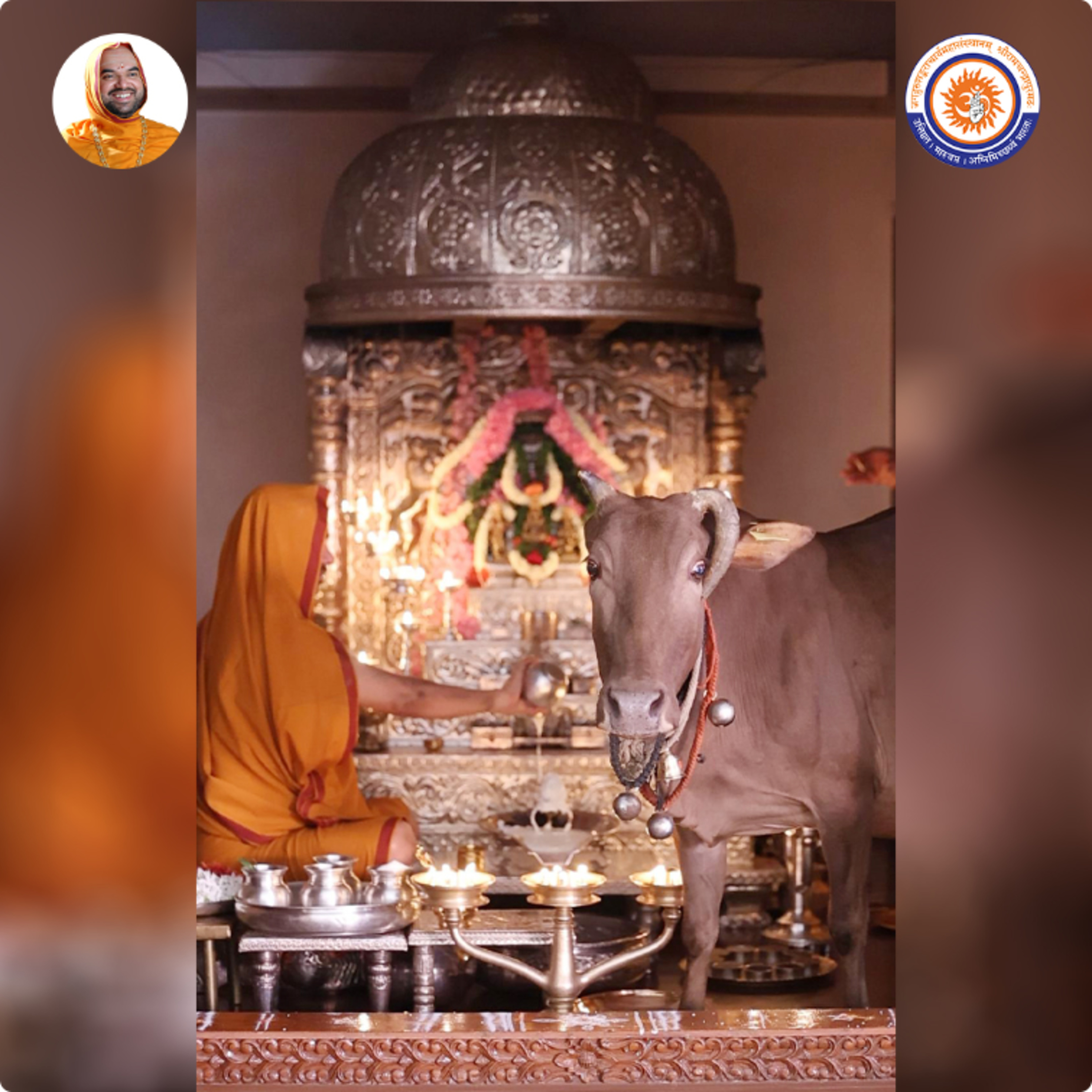 What is the significance of appearance of a cow amidst a puja? | Spiritual talk with SriSamsthana episode artwork