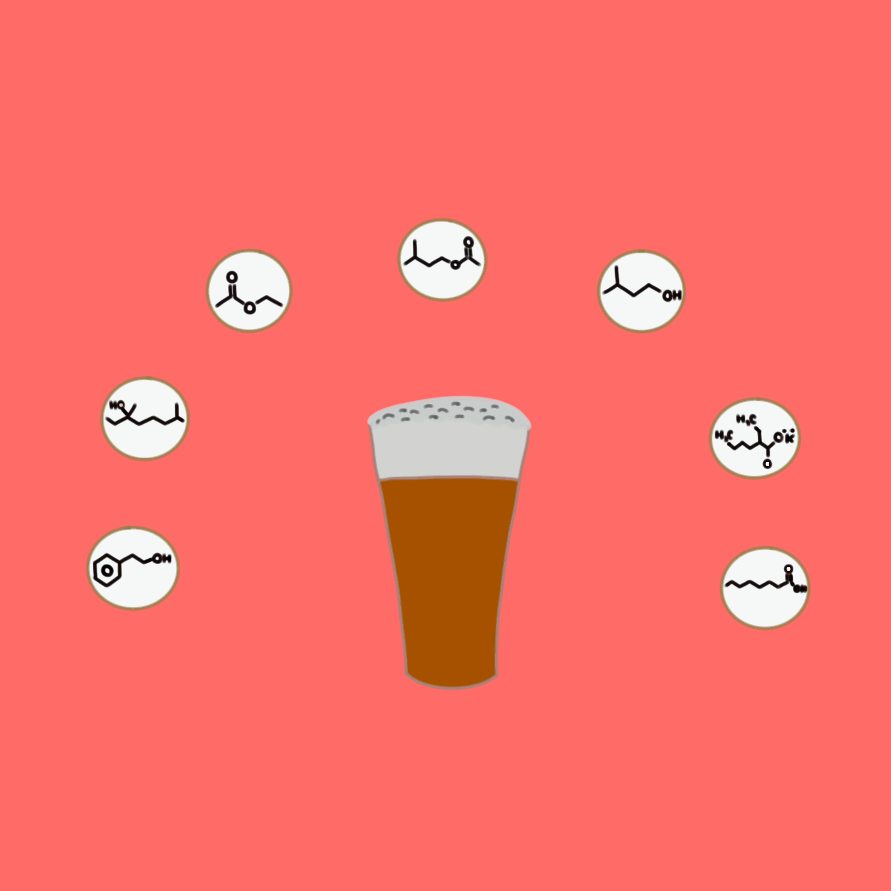 Lactic and Alcoholic Fermentation
