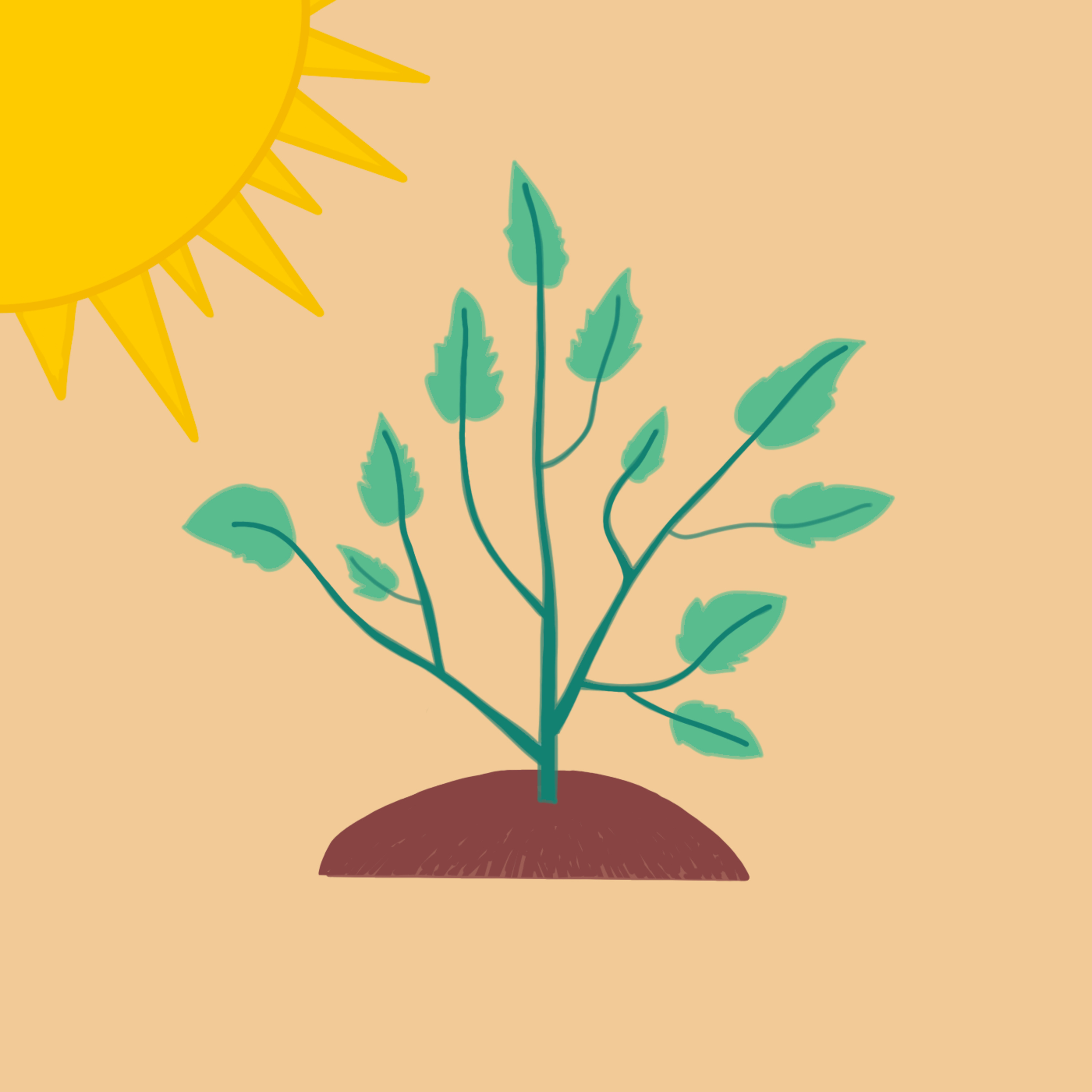 Photosynthesis: Light Dependent Reactions episode artwork