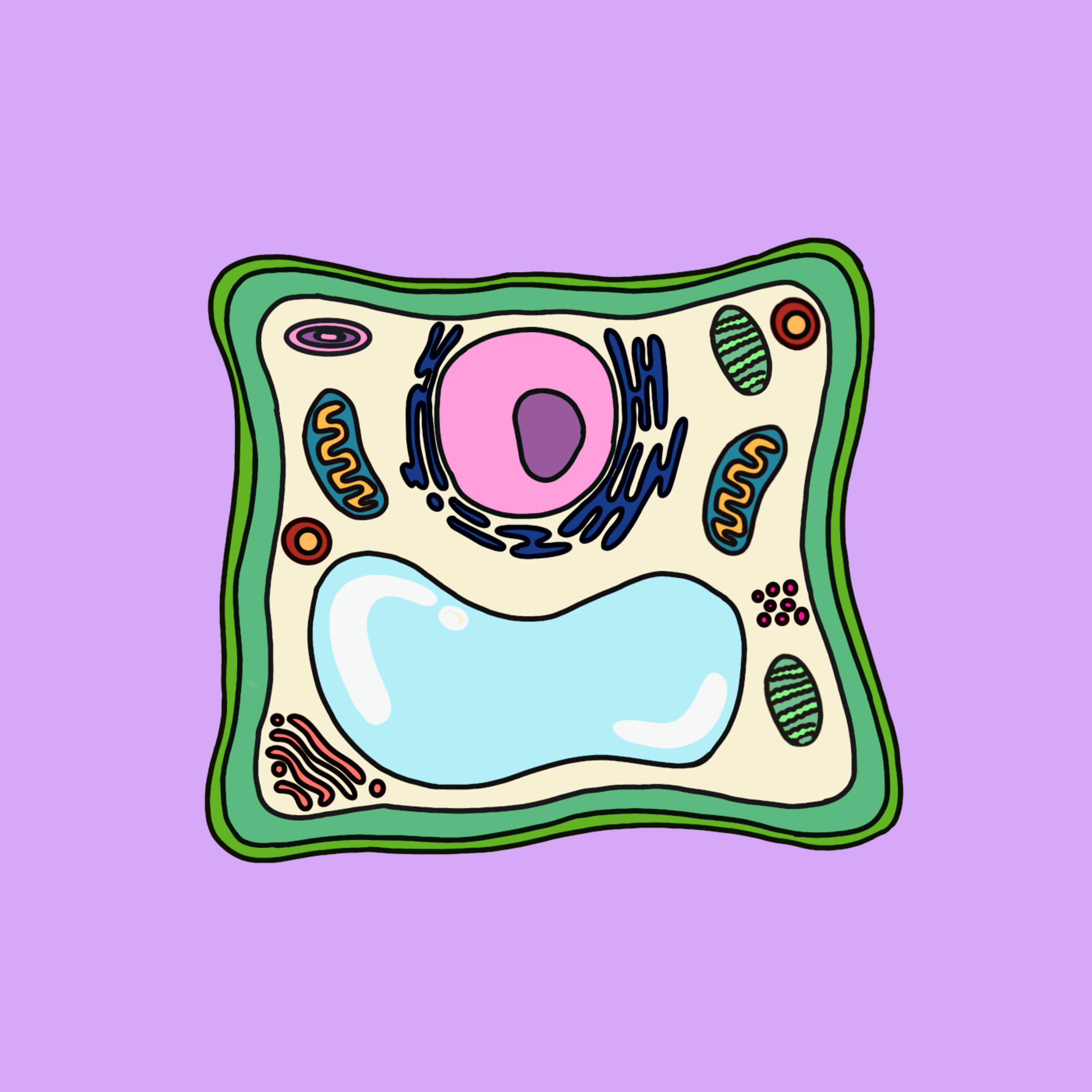Characteristics of Living Organisms episode artwork