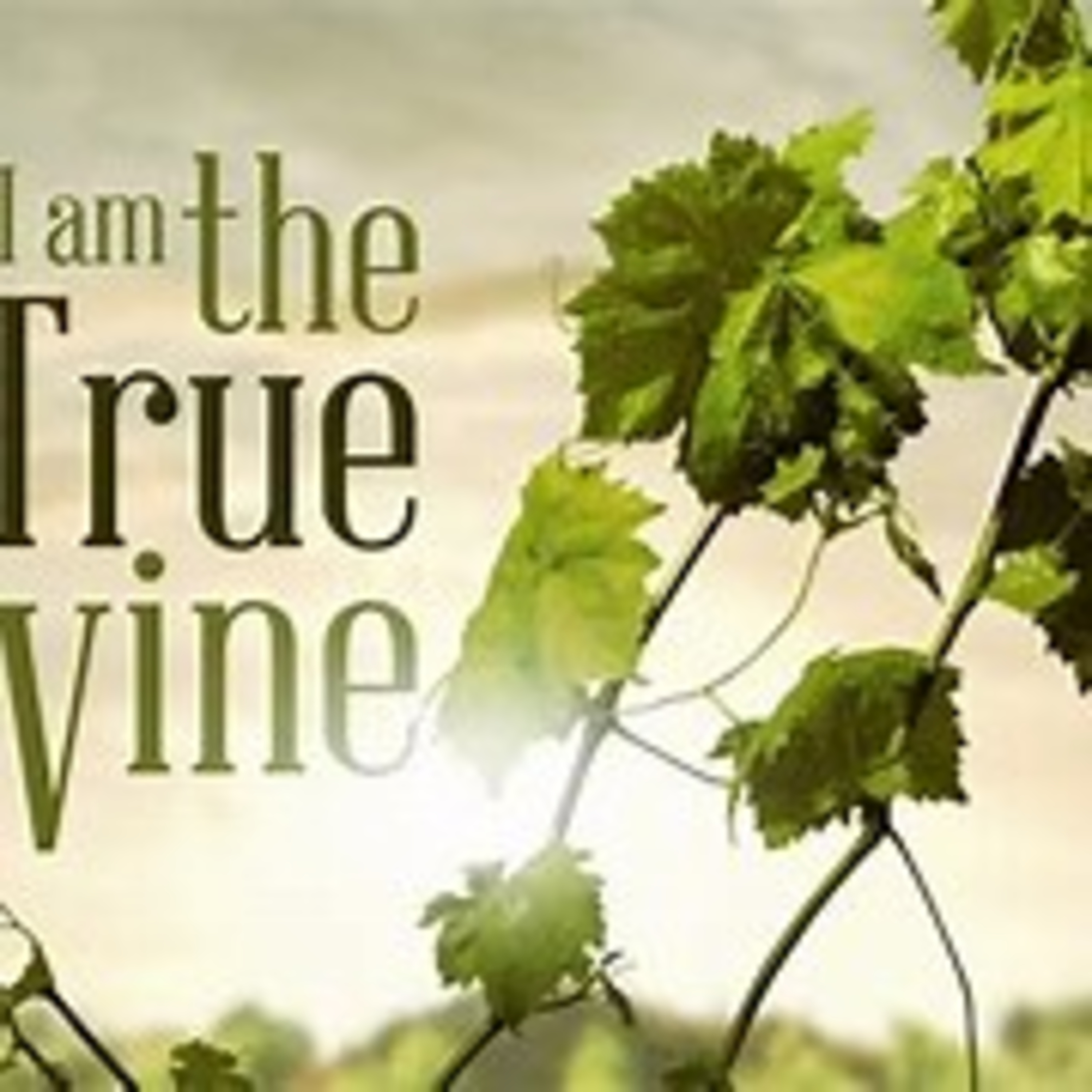 The Word of God