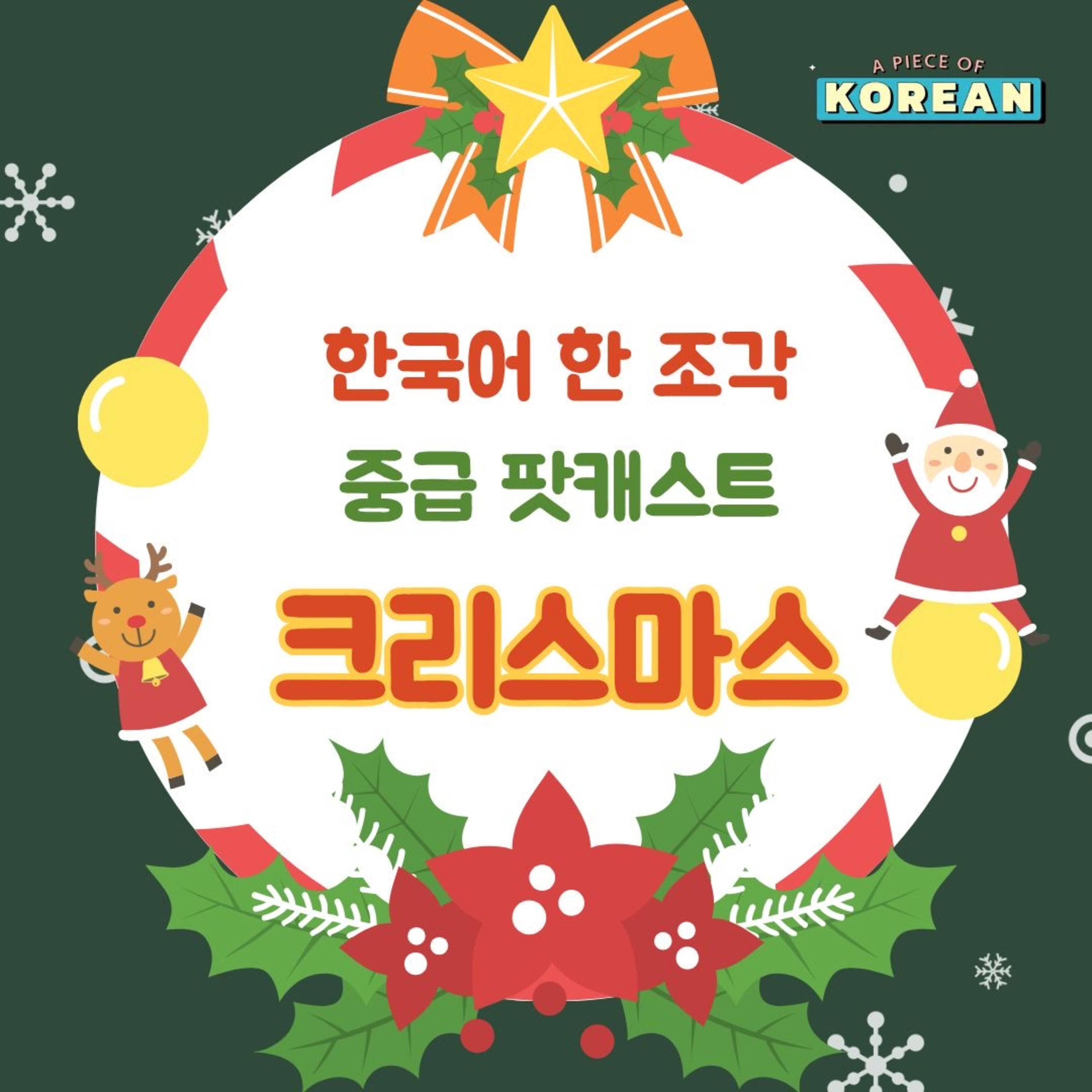 258. 메리 크리스마스🎄Merri Christmas!