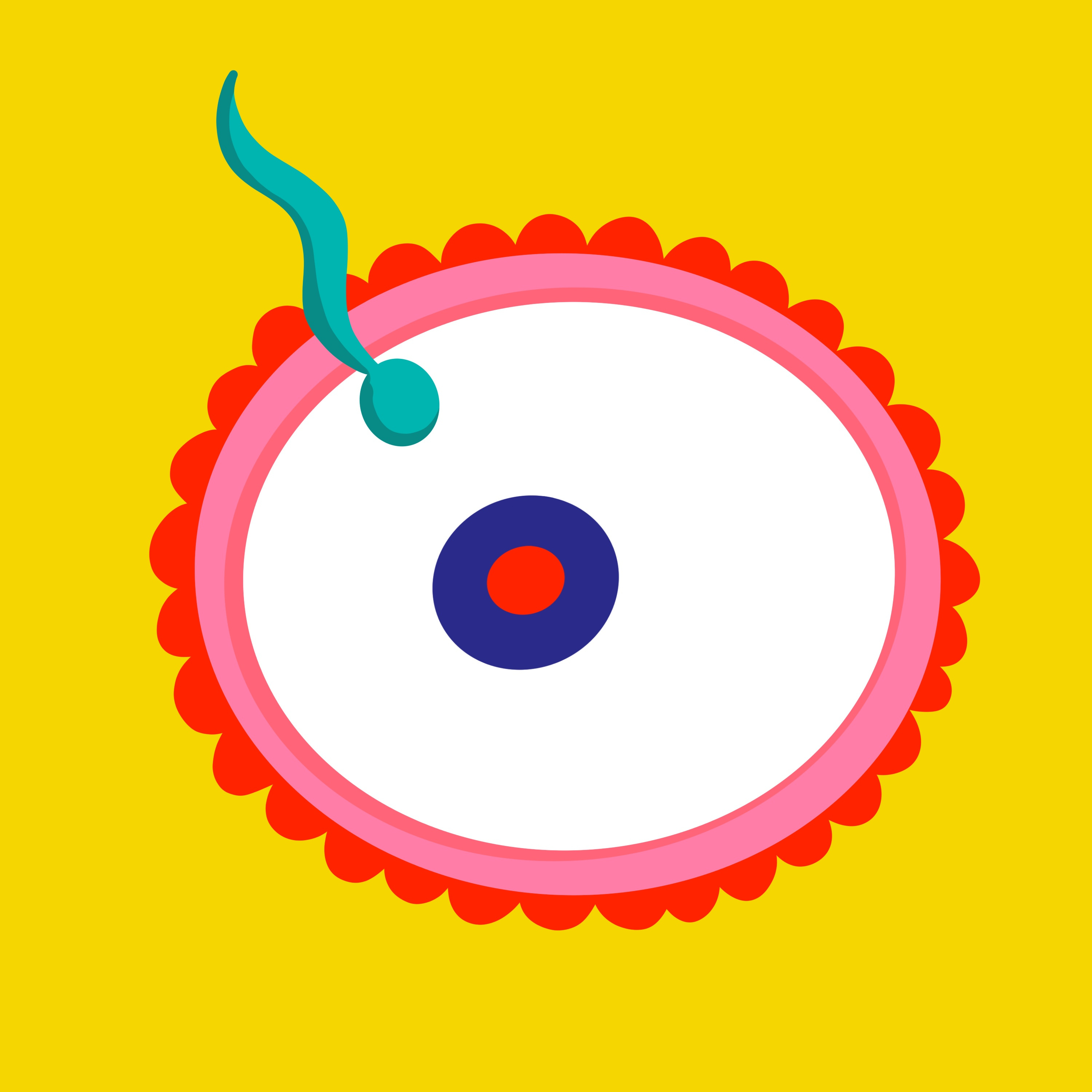 What to do when IVF isn't successful with Dr Bora from Alma Fertility episode artwork