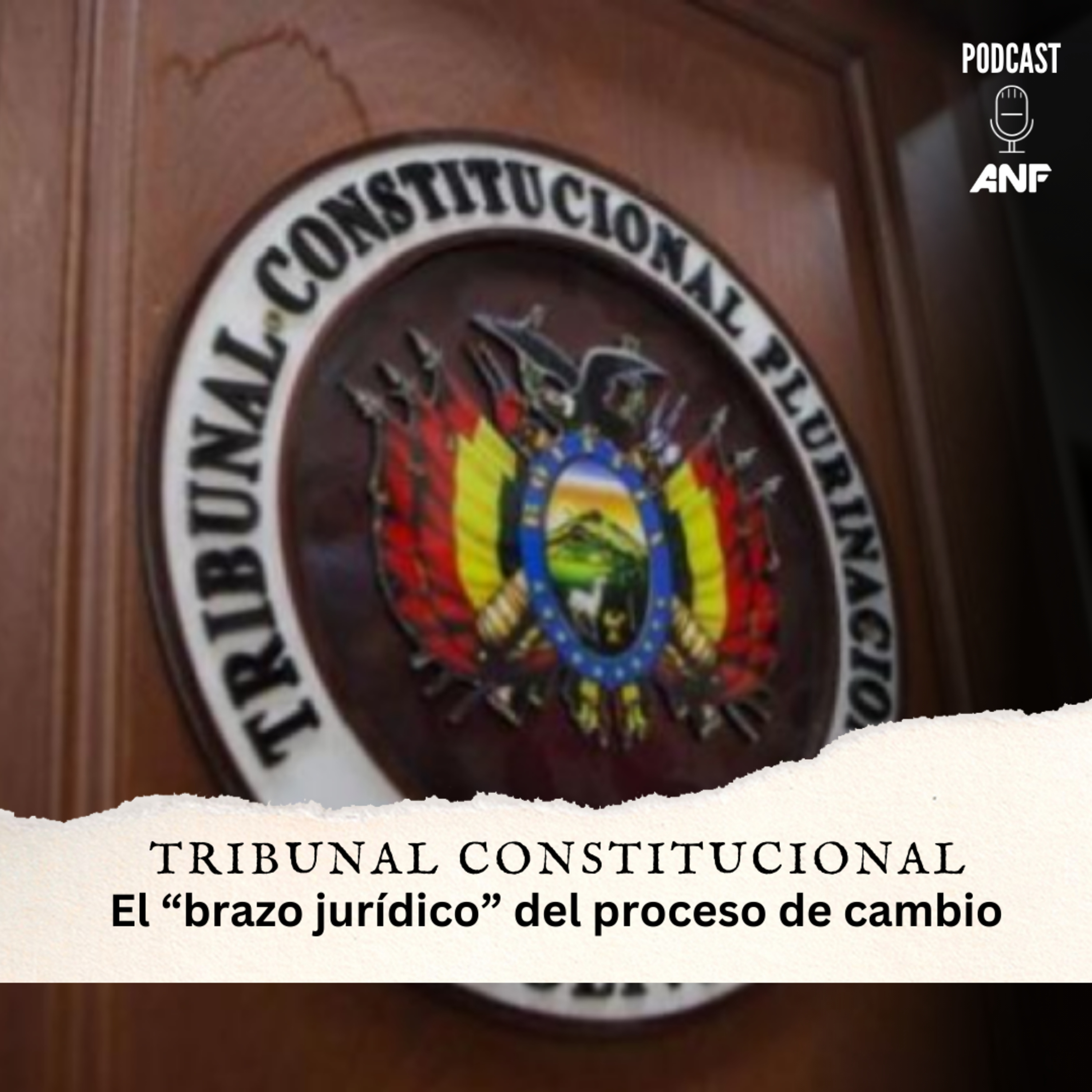 Tribunal Constitucional: El “brazo jurídico” del proceso de cambio
