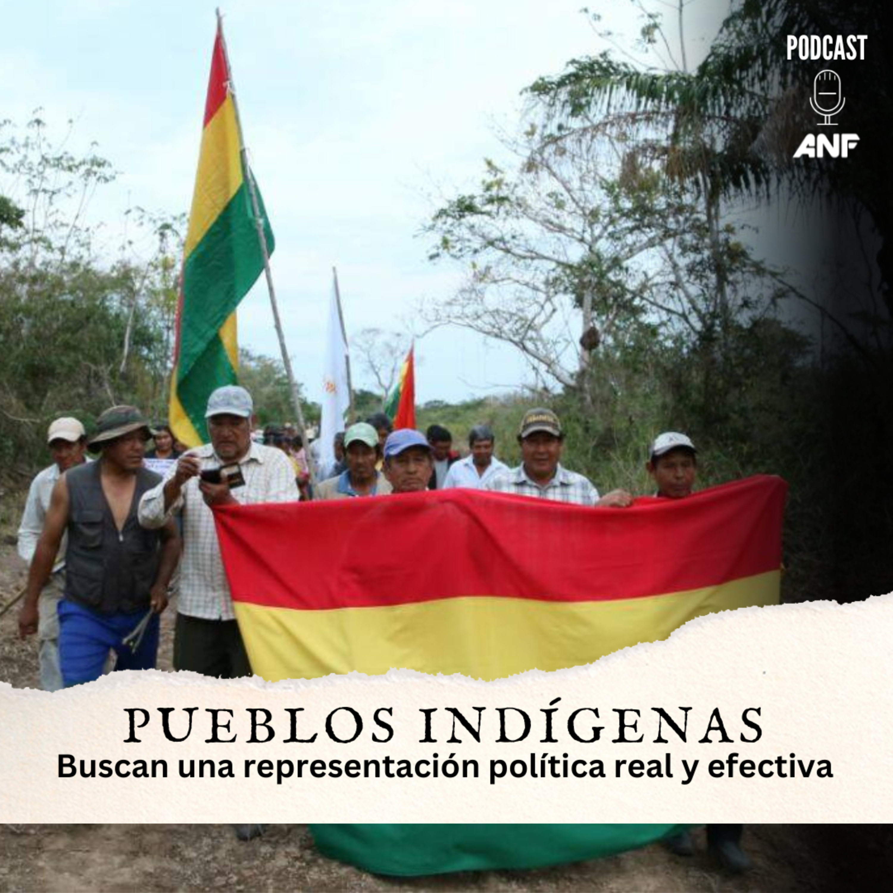 Indígenas buscan una representación política real y efectiva