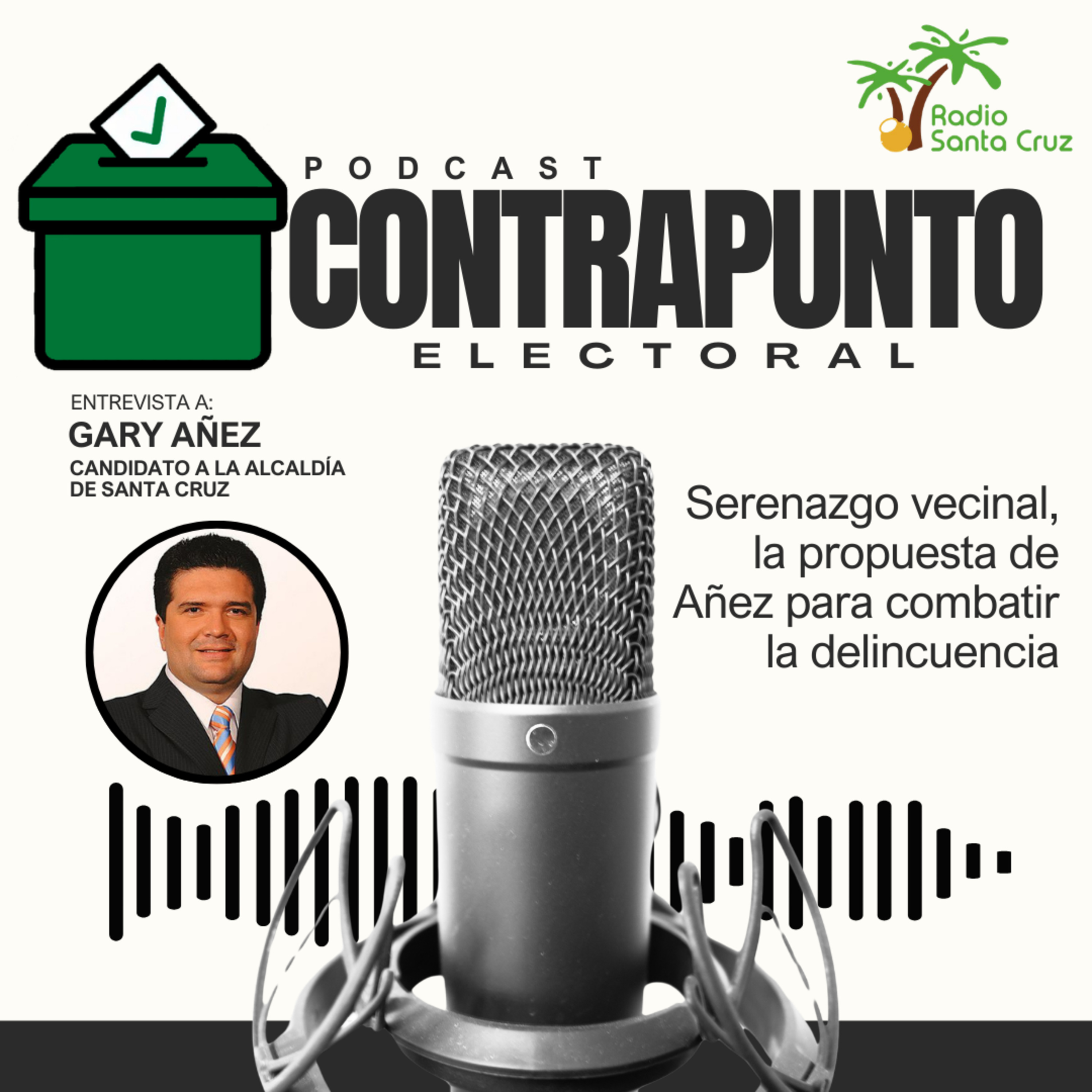 "Serenazgo vecinal": la propuesta de Añez para combatir la delincuencia