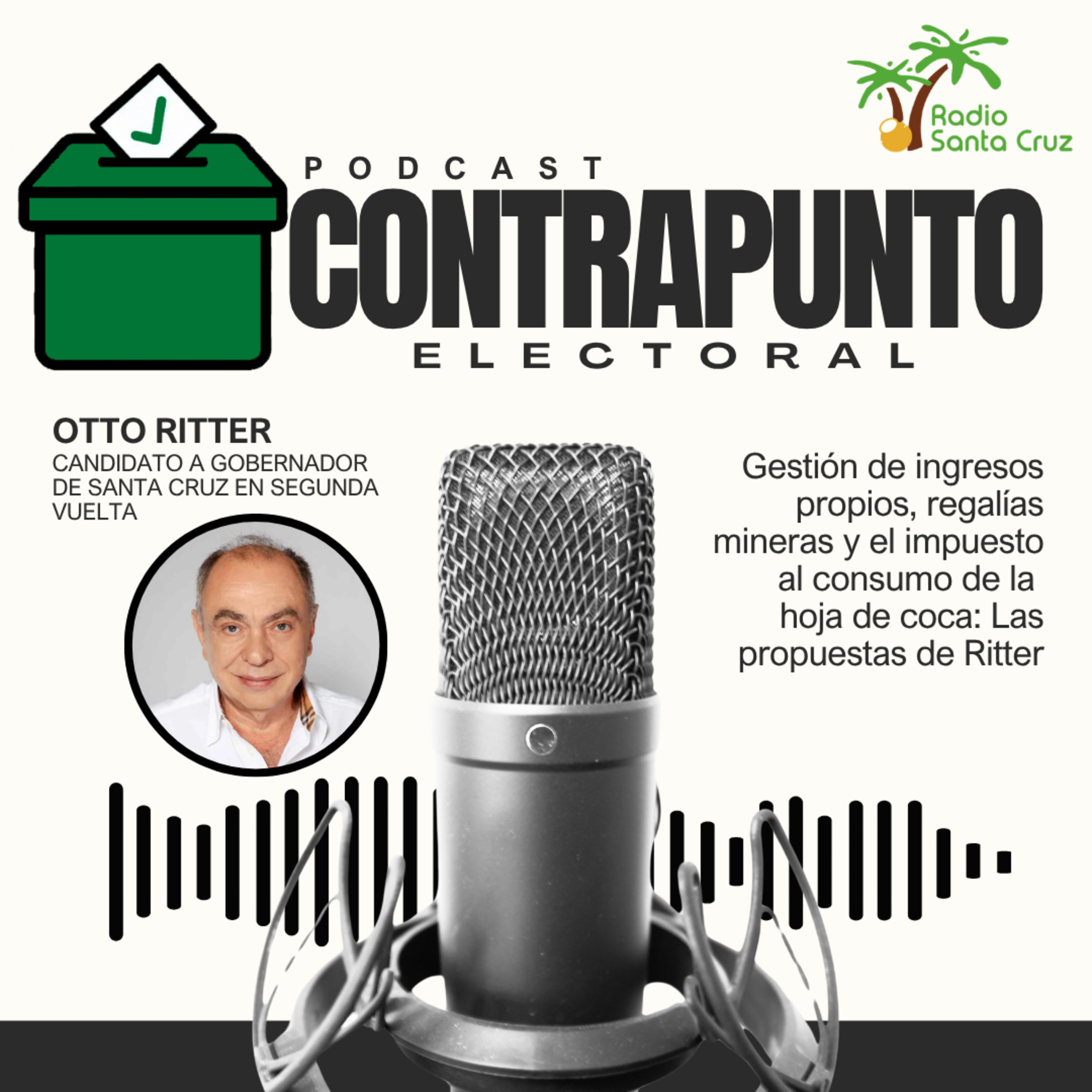 Ritter propone la gestión de ingresos propios, regalías mineras y el impuesto al consumo de la hoja de coca