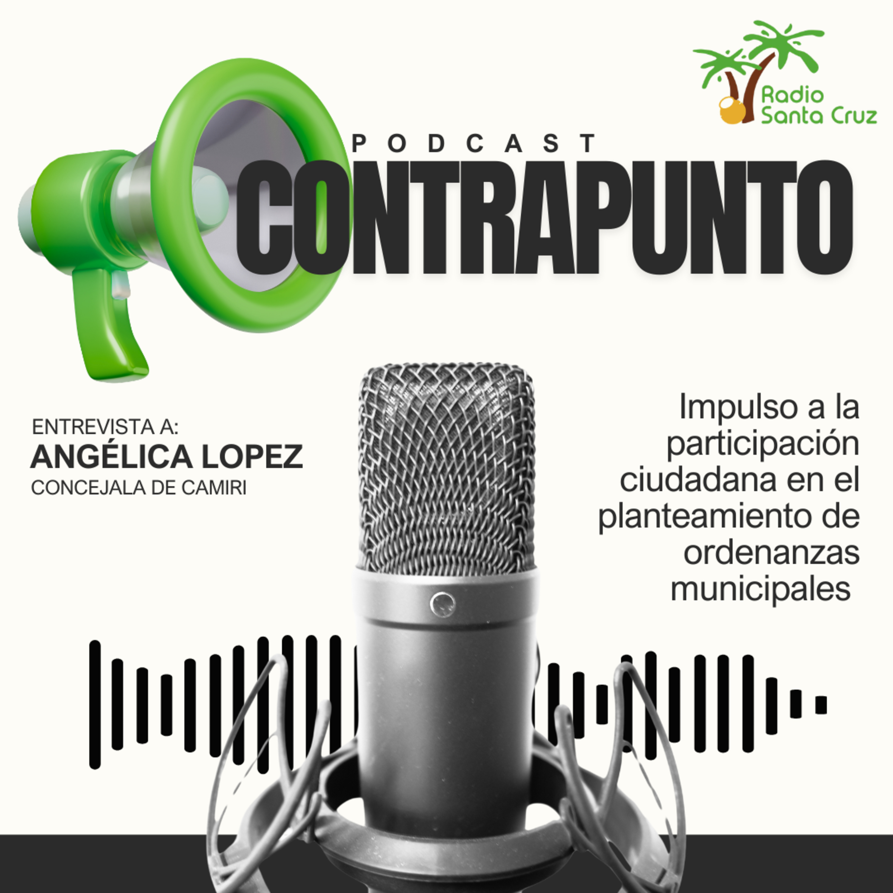 Impulso a la participación ciudadana en el planteamiento de ordenanzas municipales de Camiri