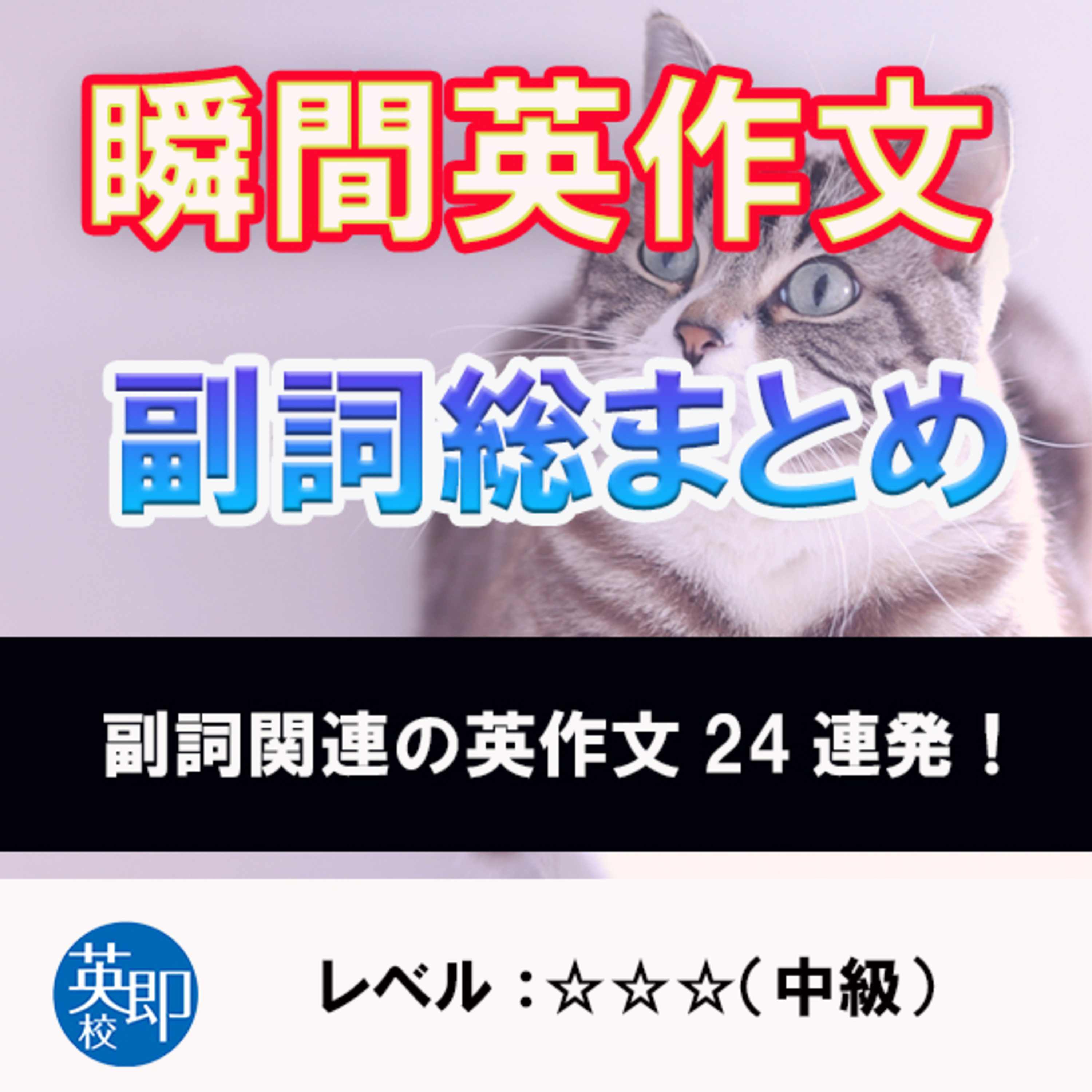 瞬間英作文特別編：副詞まとめ episode artwork