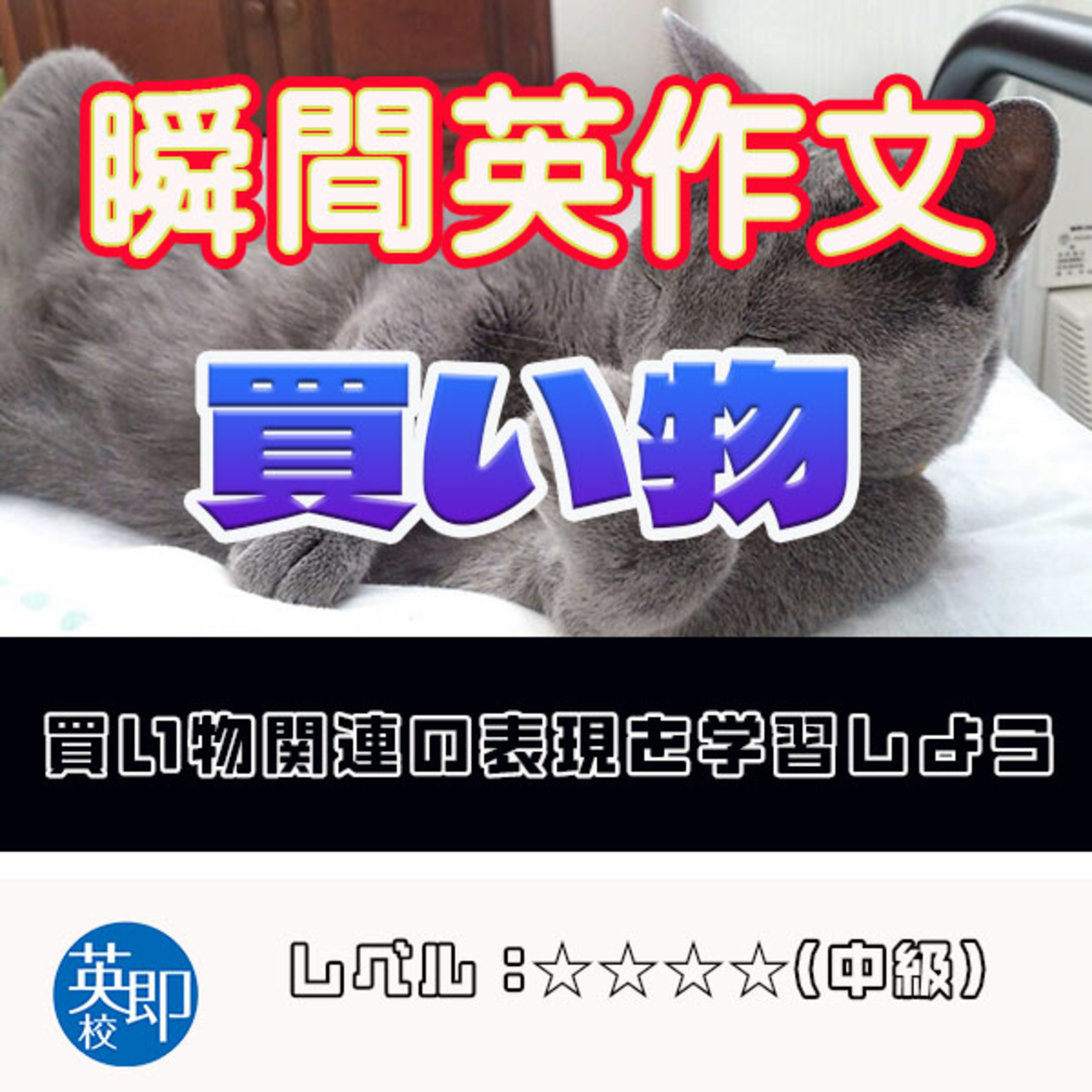 【瞬間英作文：買い物】買い物関連の表現を学習しよう！