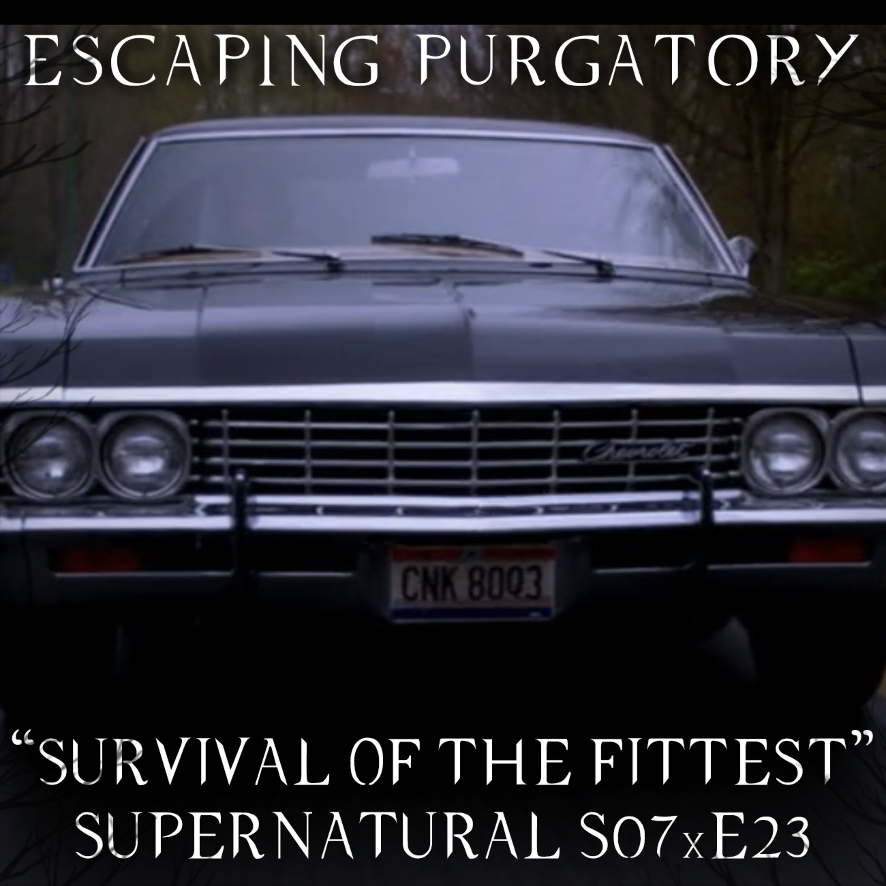 Episode 07:23 - Survival of The Fittest episode artwork