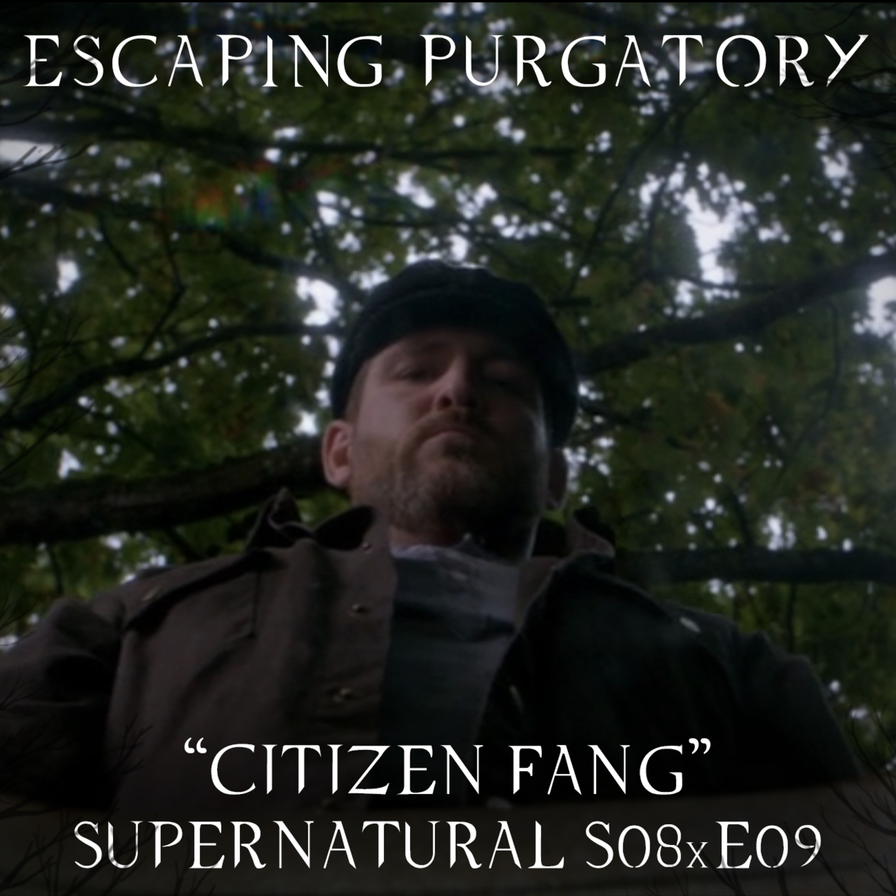 Episode 08:09 - Citizen Fang episode artwork