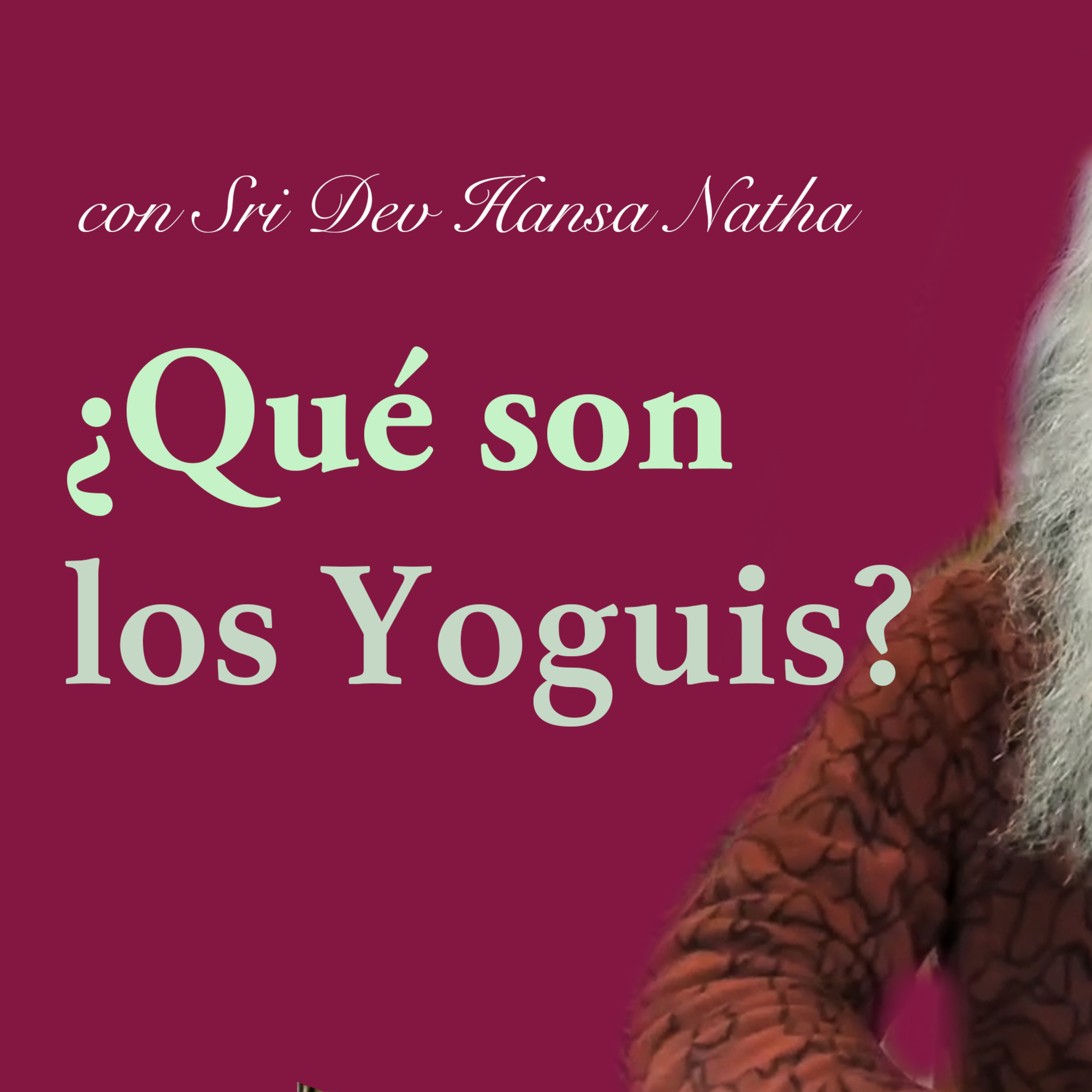 enseñanza vital - ¿Qué es un Yogui? episode artwork
