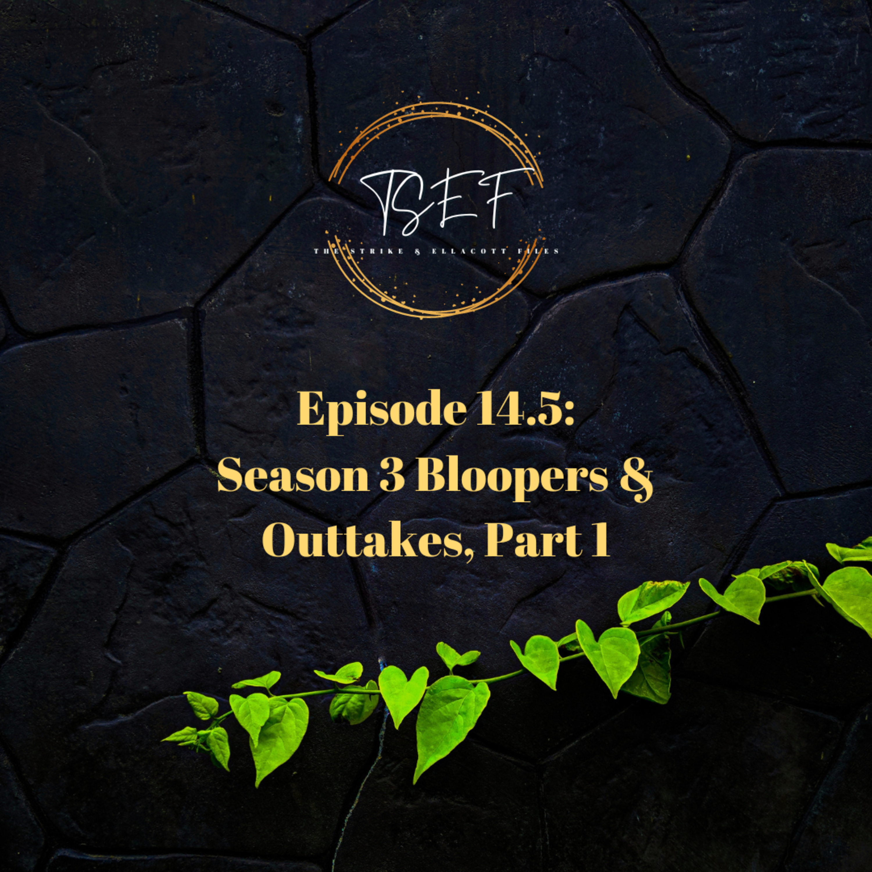 The Strike & Ellacott Files