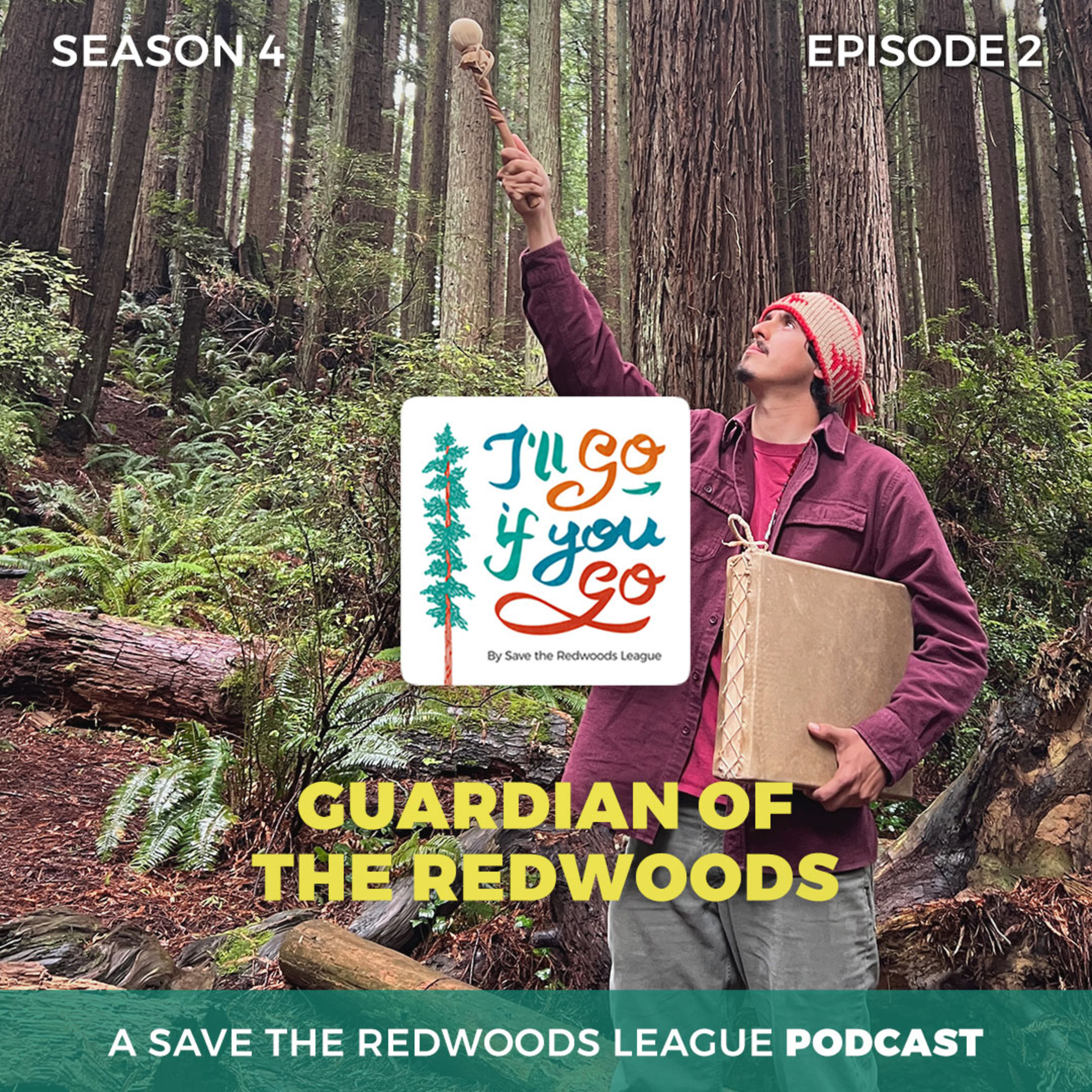Guardian of the redwoods episode artwork