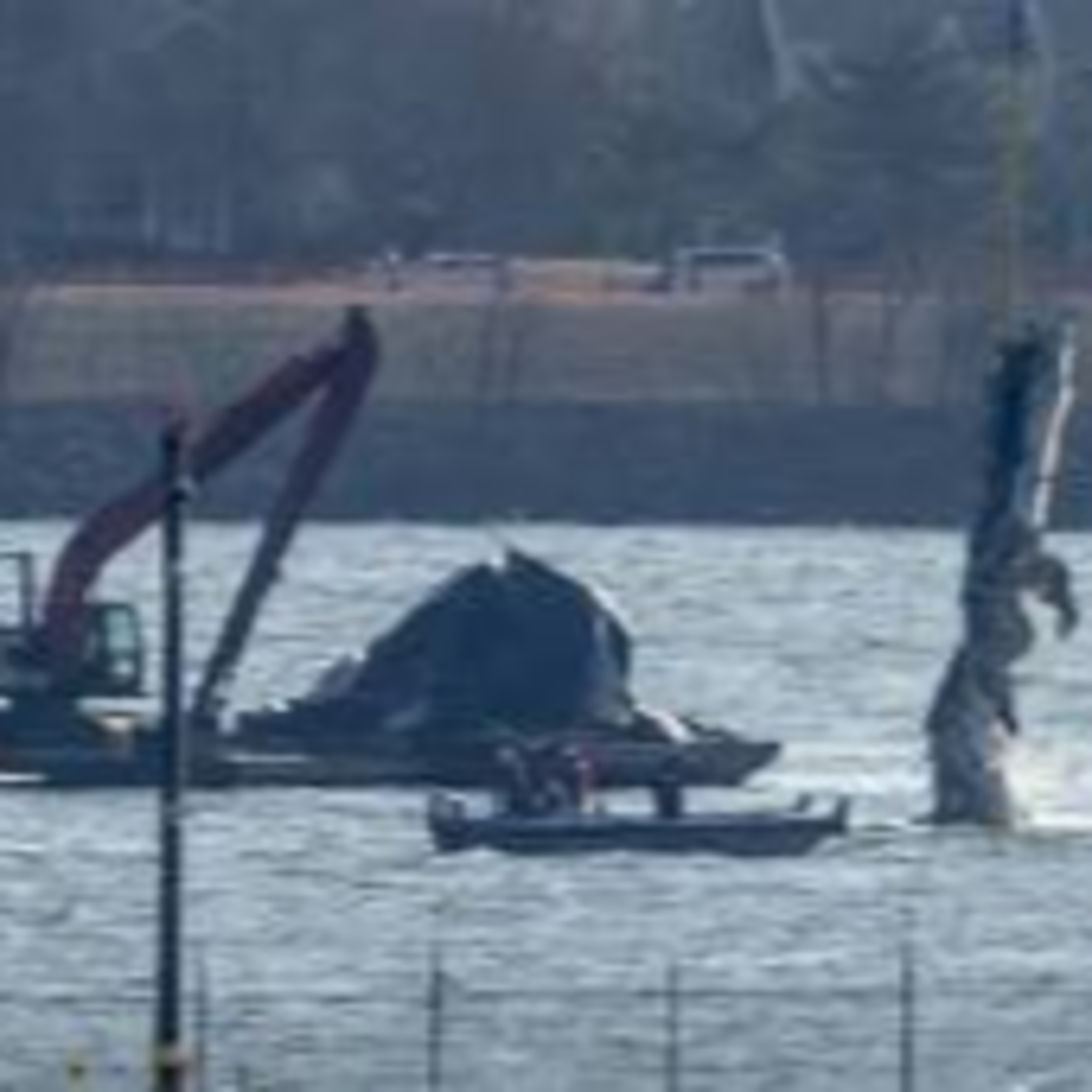 Reagan National Plane Crash Tragedy, Media Bias, Workplace Politics & NBA's Cleveland Cavaliers episode artwork