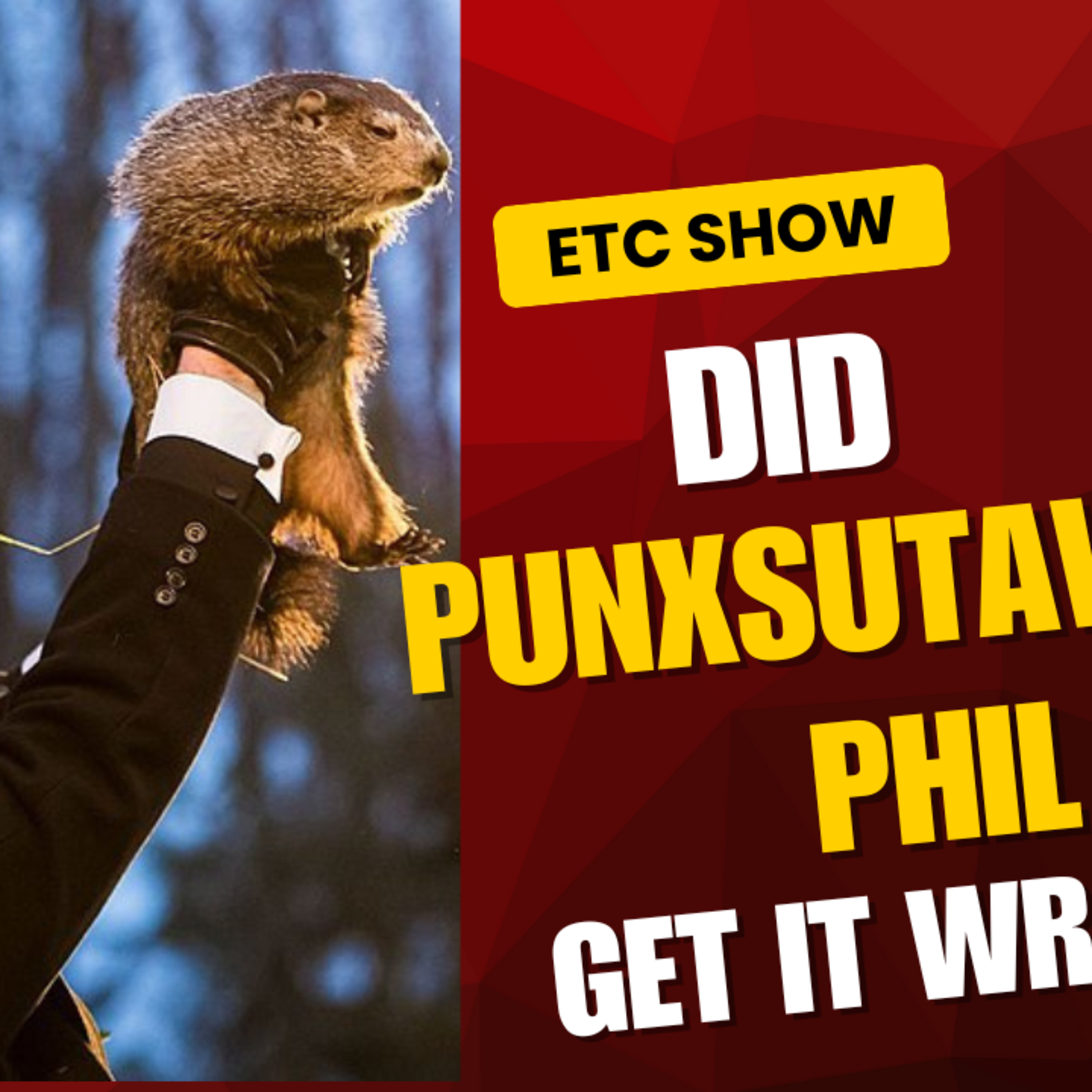 Is Punxsutawney Phil a Weather Fraud? Groundhog Day Accuracy Under Fire!  episode artwork
