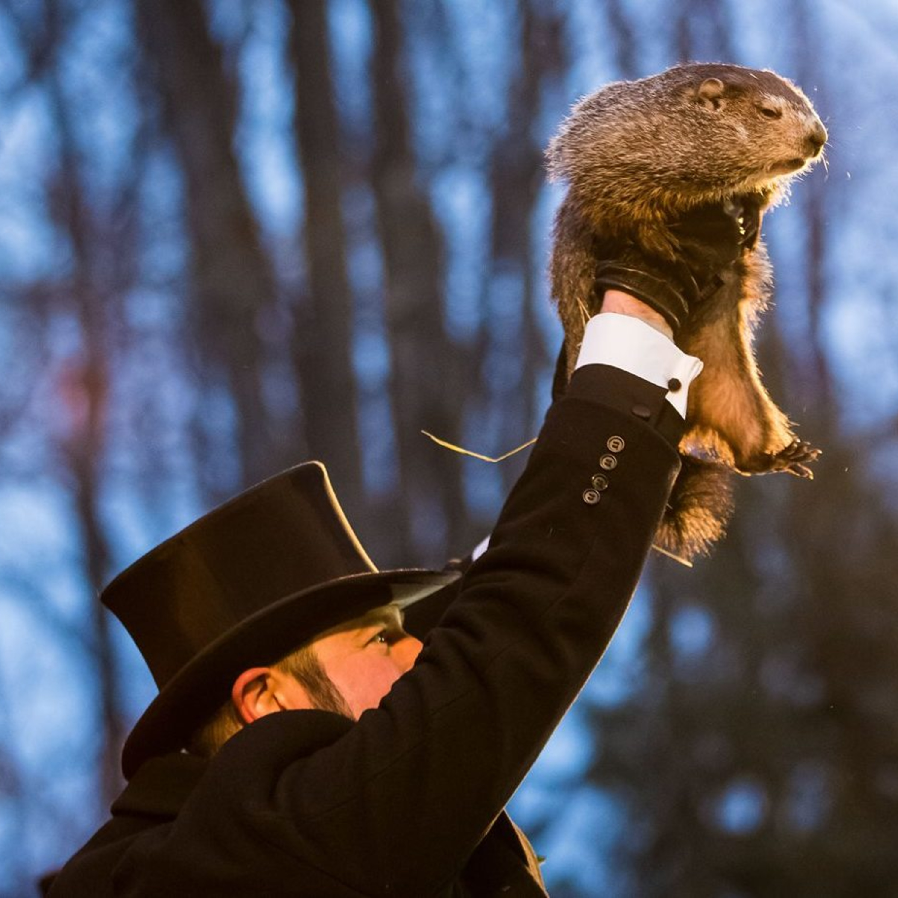 Is Groundhog Day scripted, and why does everything feel like wrestling now? episode artwork