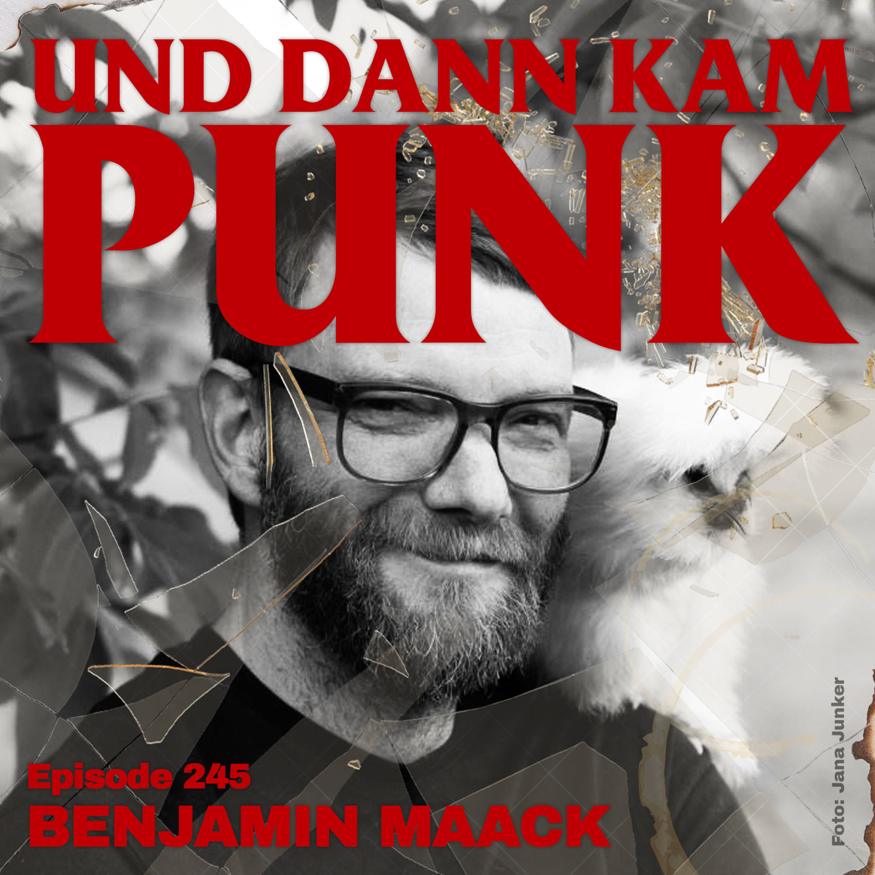 245: Benjamin Maack (Autor, Journalist, TRICKS, Einlegen Kassetten) - Und dann kam Punk