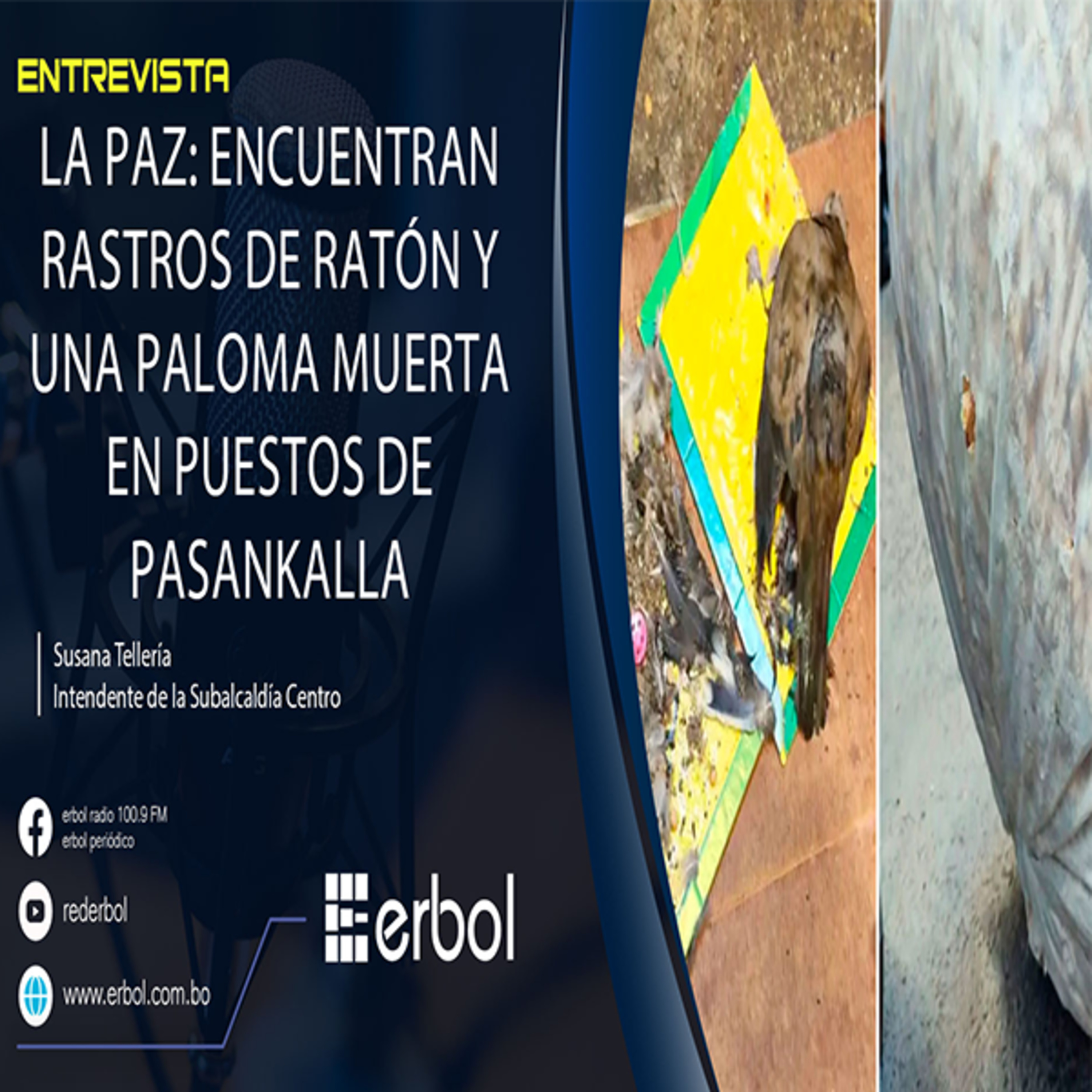 Encuentran hasta restos de paloma en venta de pasankallas en La Paz episode artwork