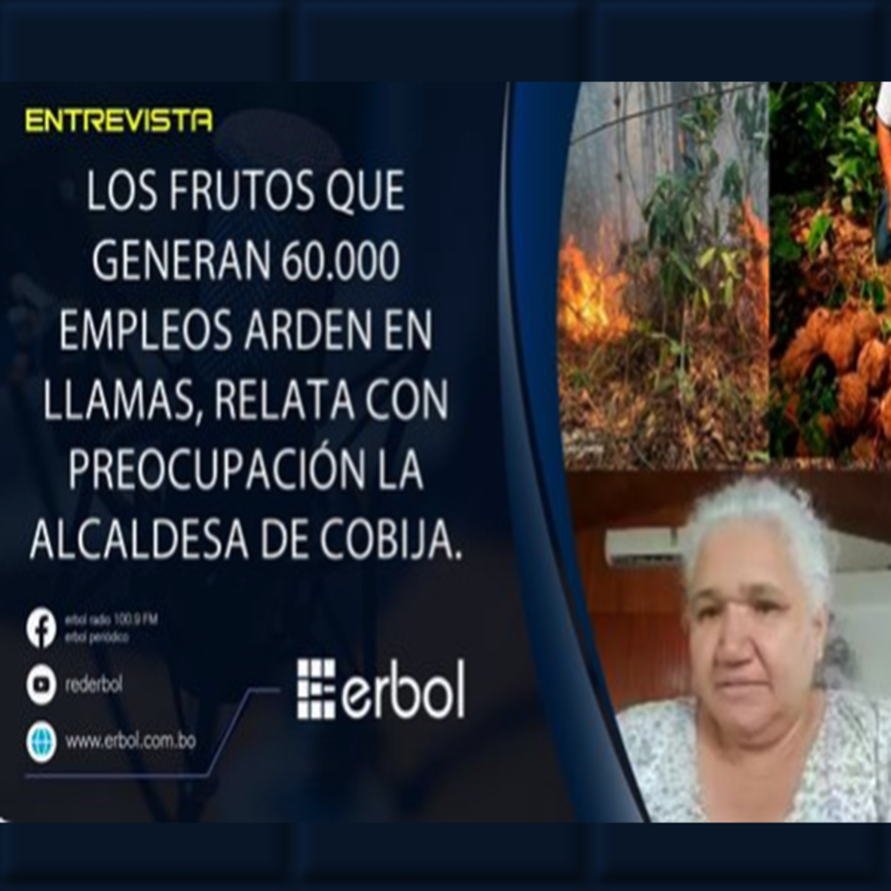 Cobija enfrenta incendios que amenazan exportaciones clave como la castaña y el asaí. episode artwork