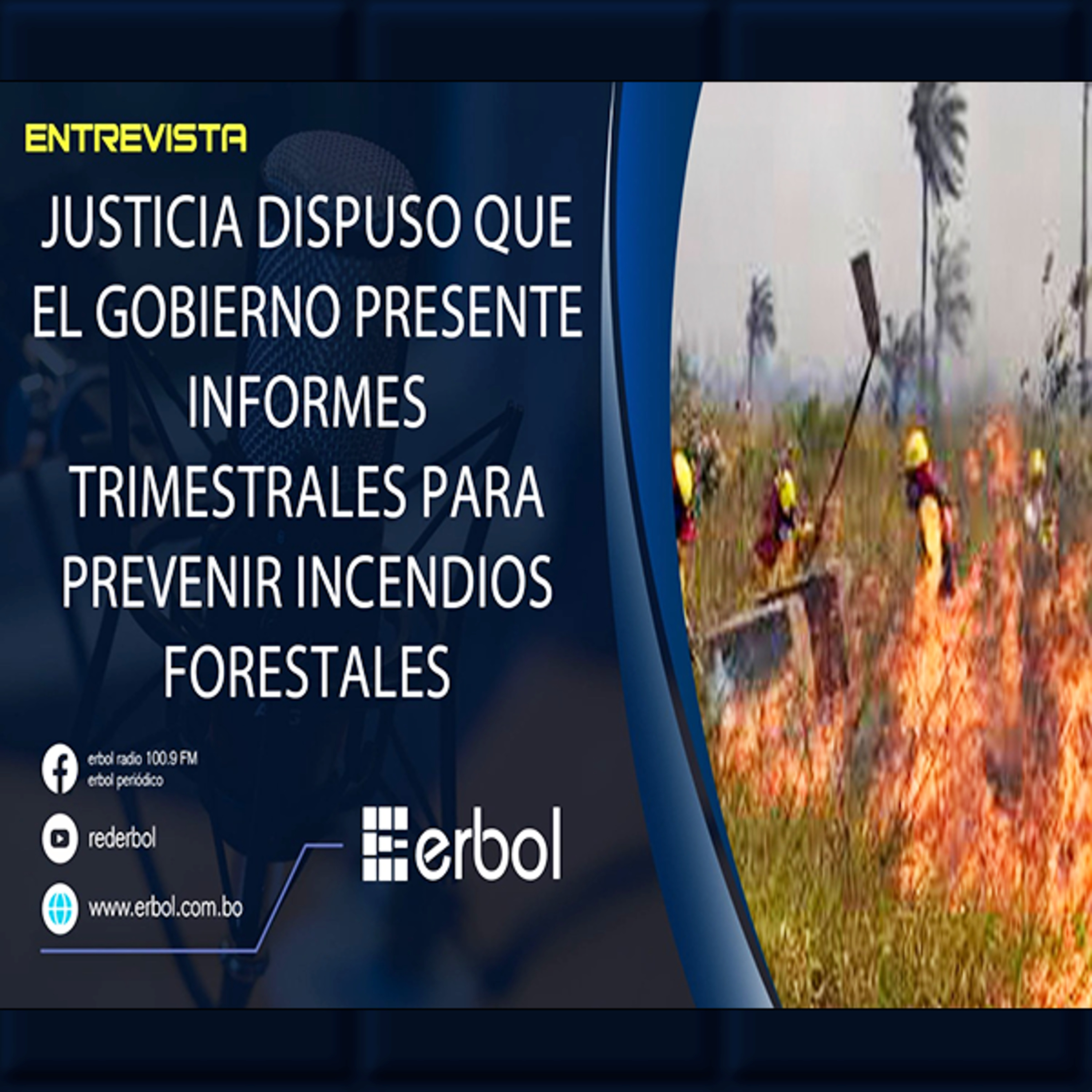 Gobierno Debe Presentar Informes Trimestrales sobre Prevención de Incendios Forestales