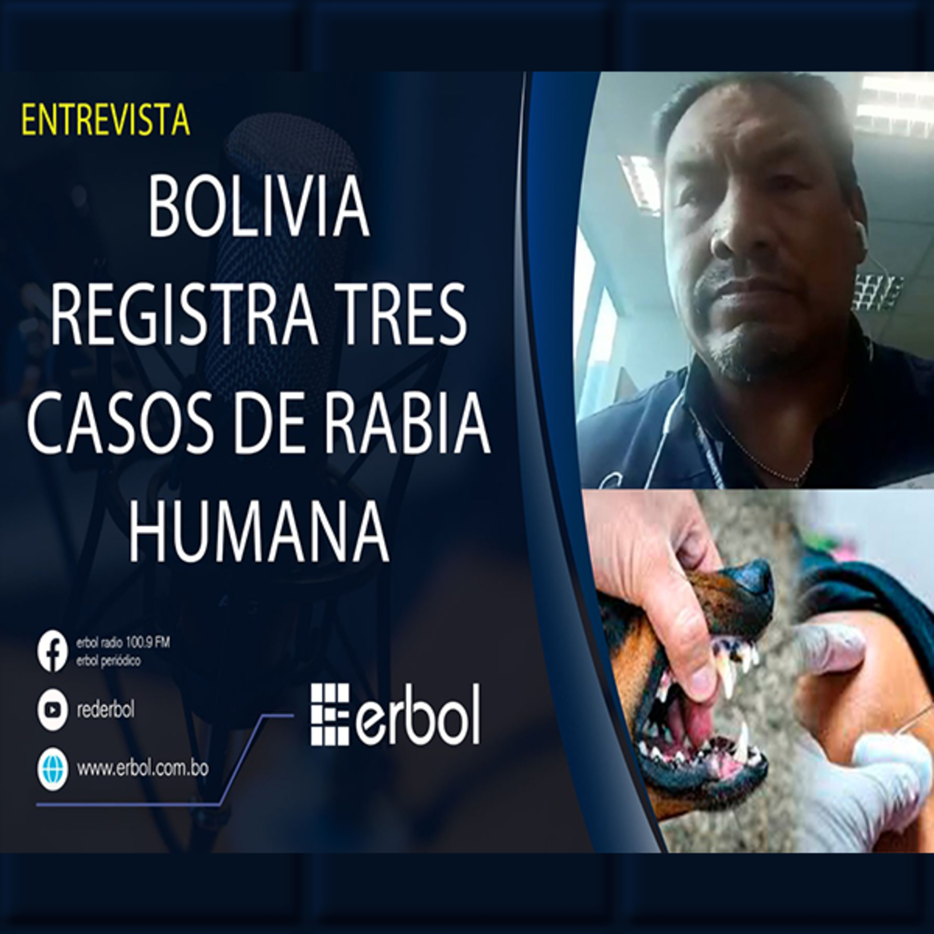Rabia humana deja tres víctimas en Bolivia en 2024, advierte Zoonosis
