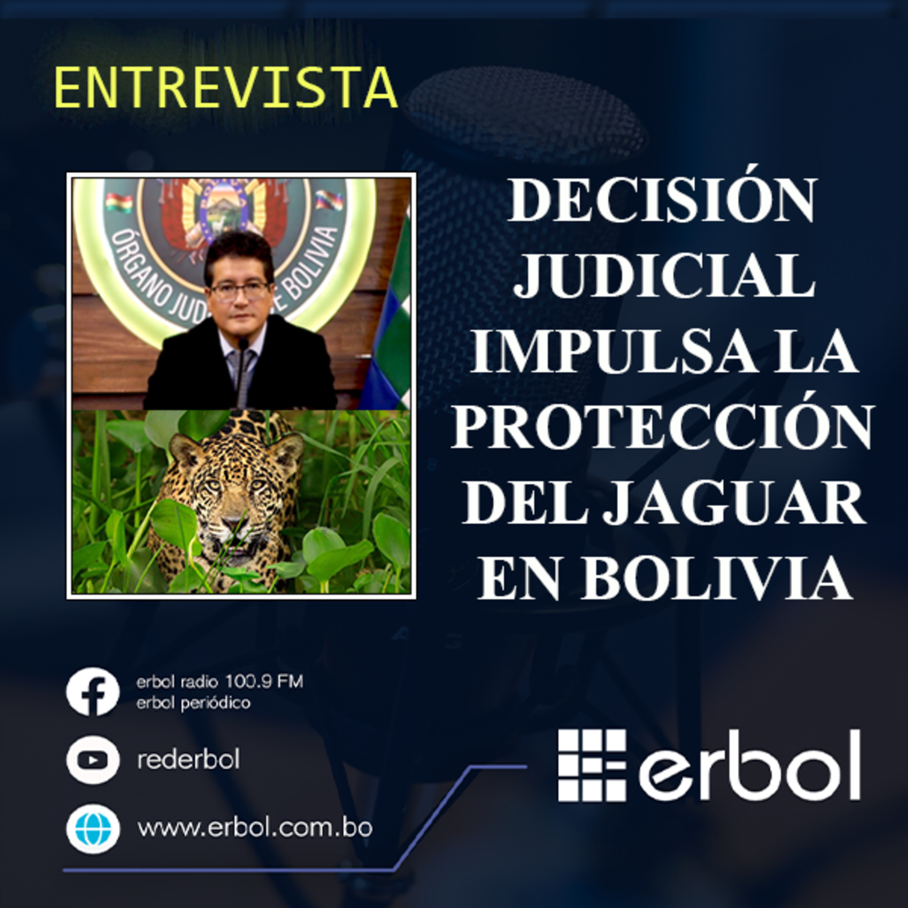 Decisión judicial impulsa la protección del jaguar en Bolivia episode artwork