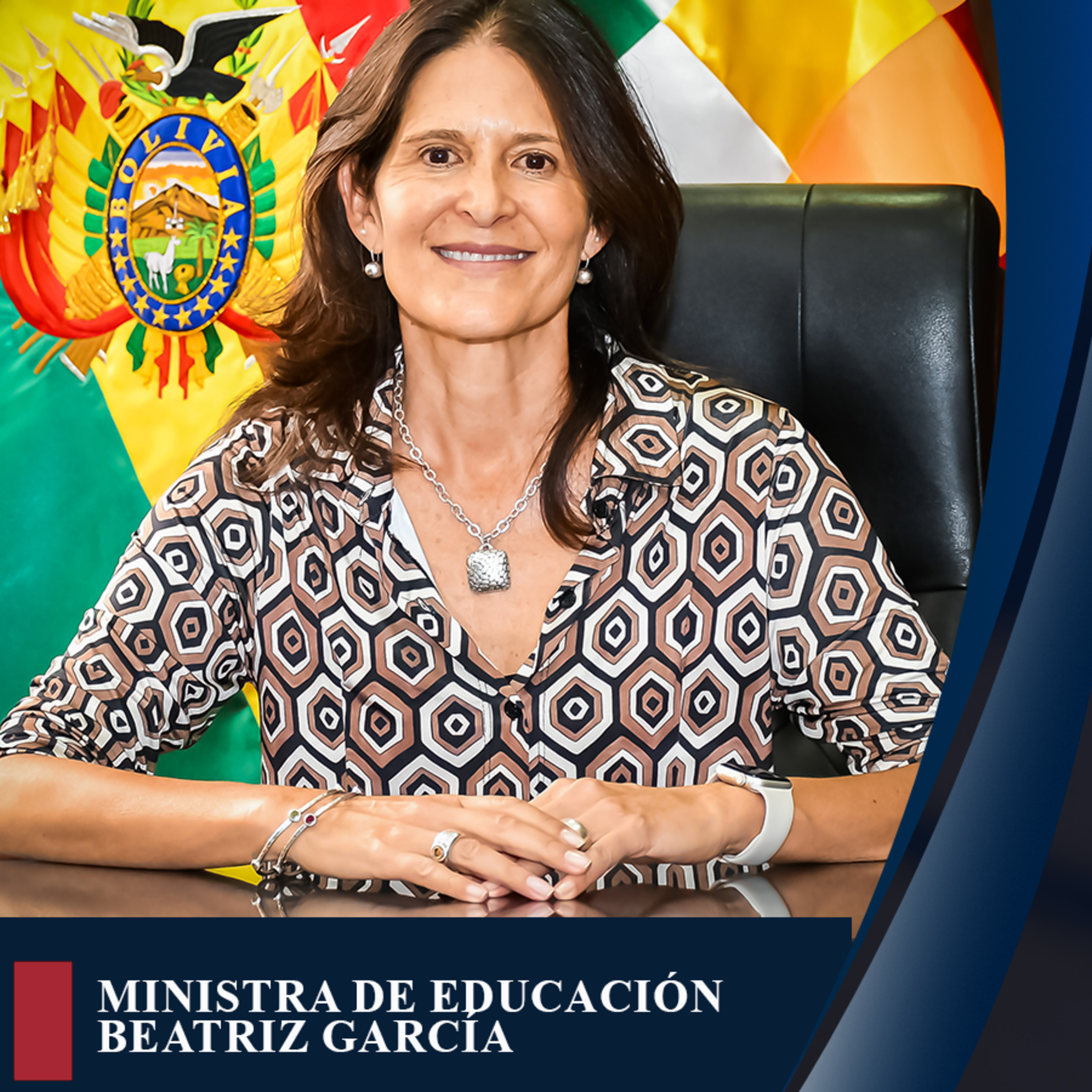 La ley de educación Avelino Siñani será reformada