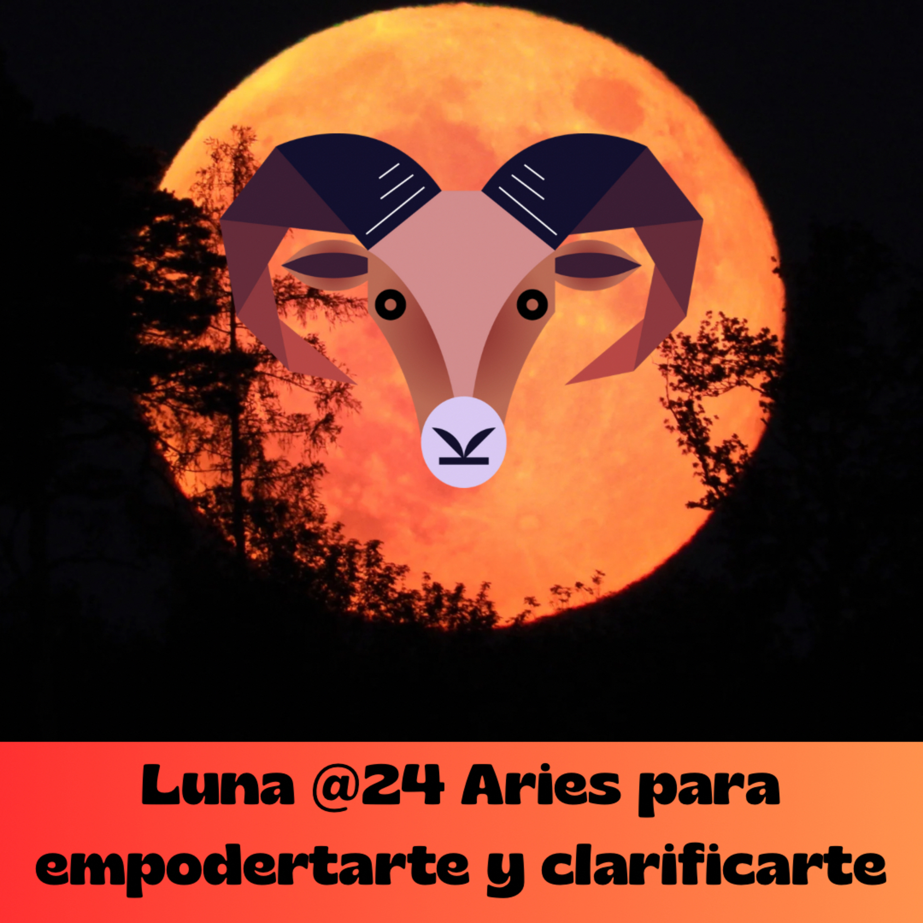 Luna llena de empoderamiento & honestidad episode artwork
