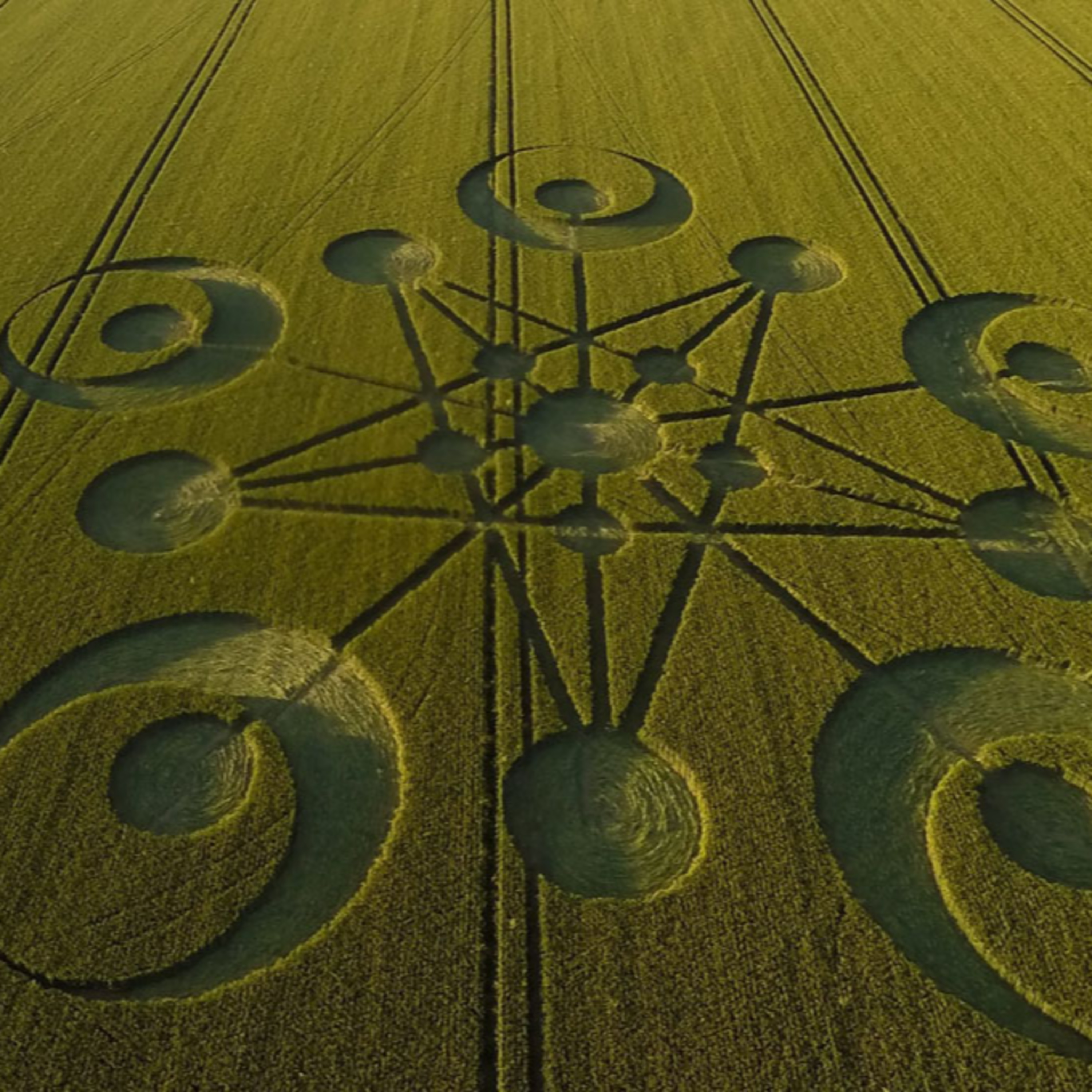 Crop Circles: Descubre los misterios y Teorías de los enigmáticos Circulos en los cultivos