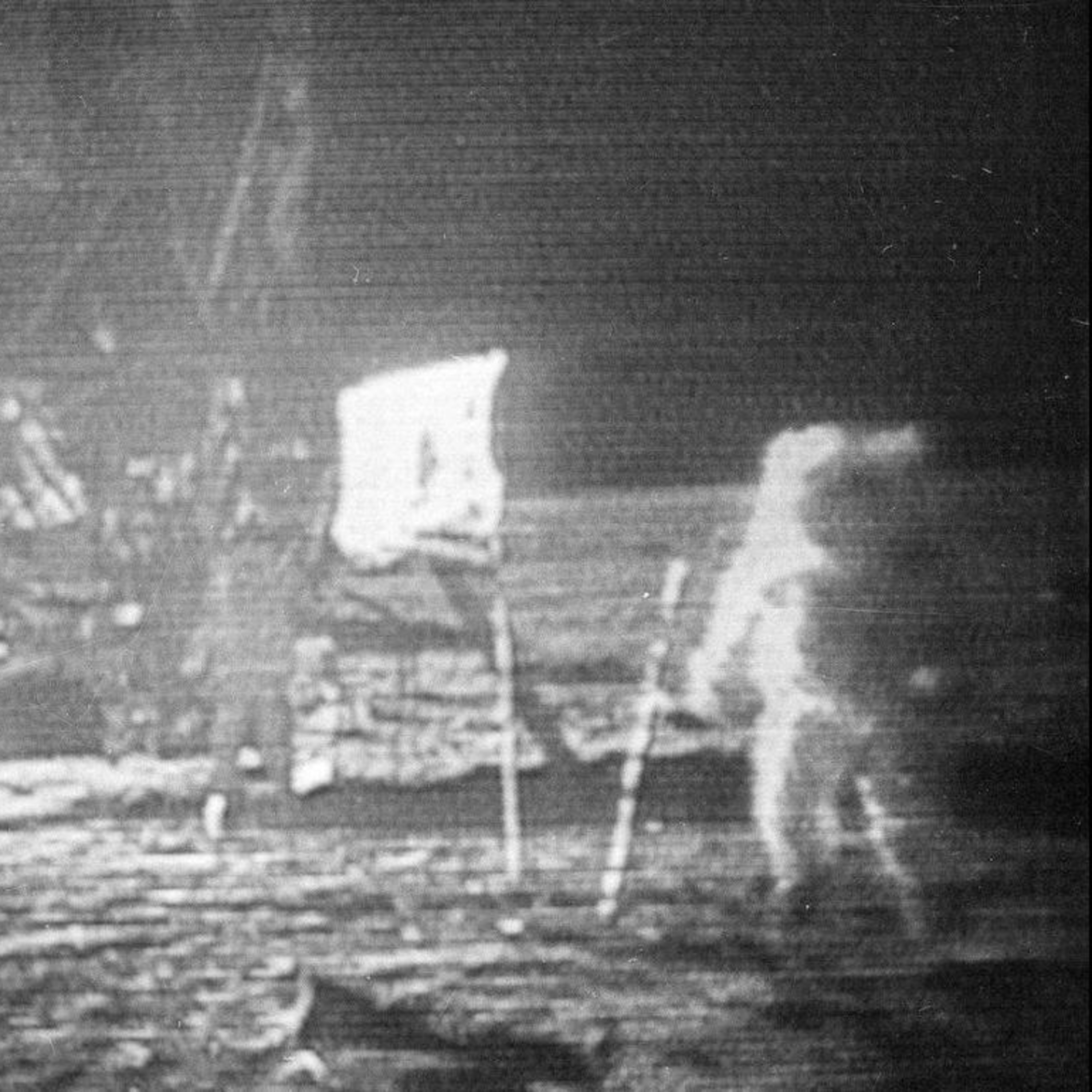 Encuentros Cercanos: La Impactante Grabación de Neil Armstrong y la NASA Sobre Vida Inteligente
