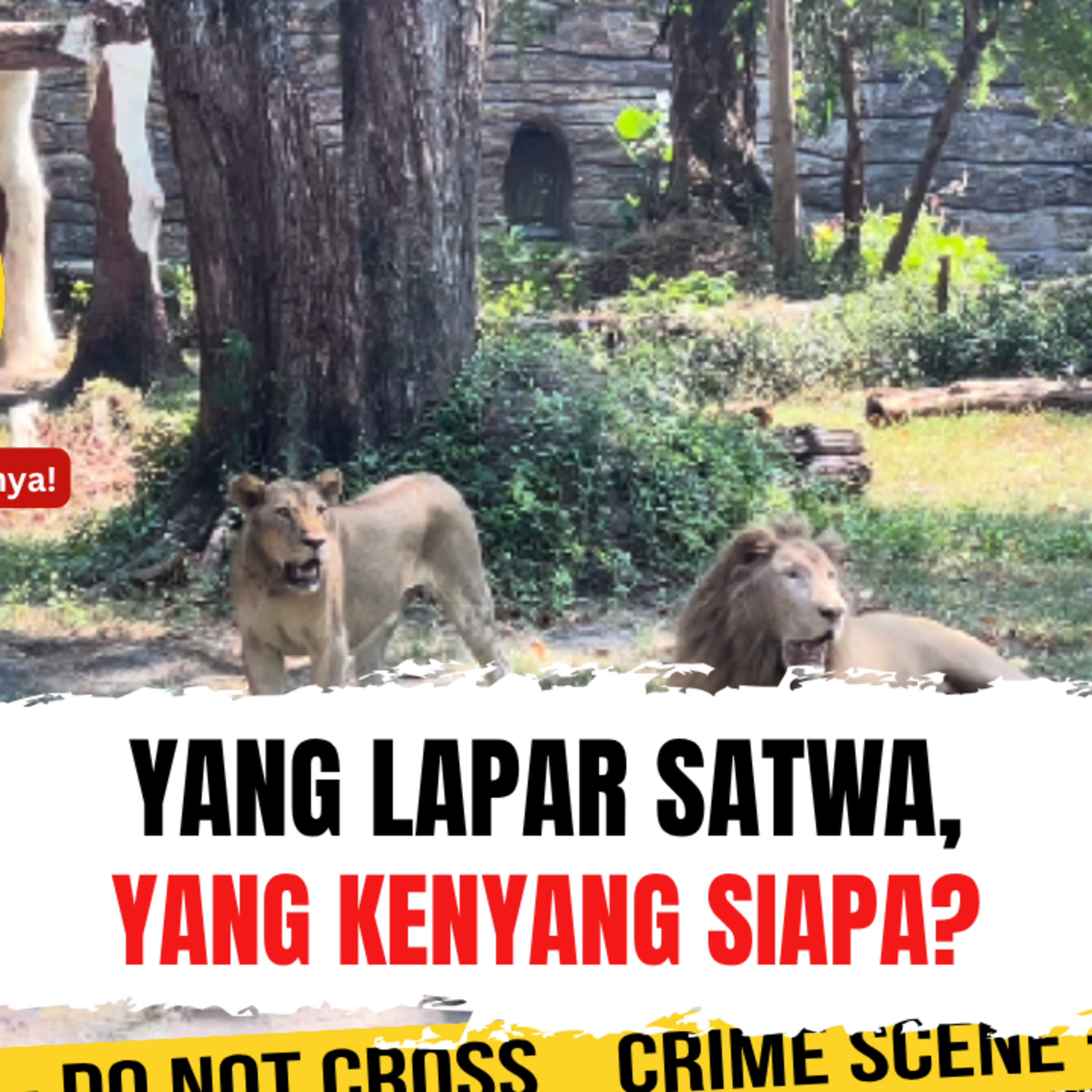 Yang Lapar Satwa, yang Kenyang Siapa? | Ep. 2771 episode artwork