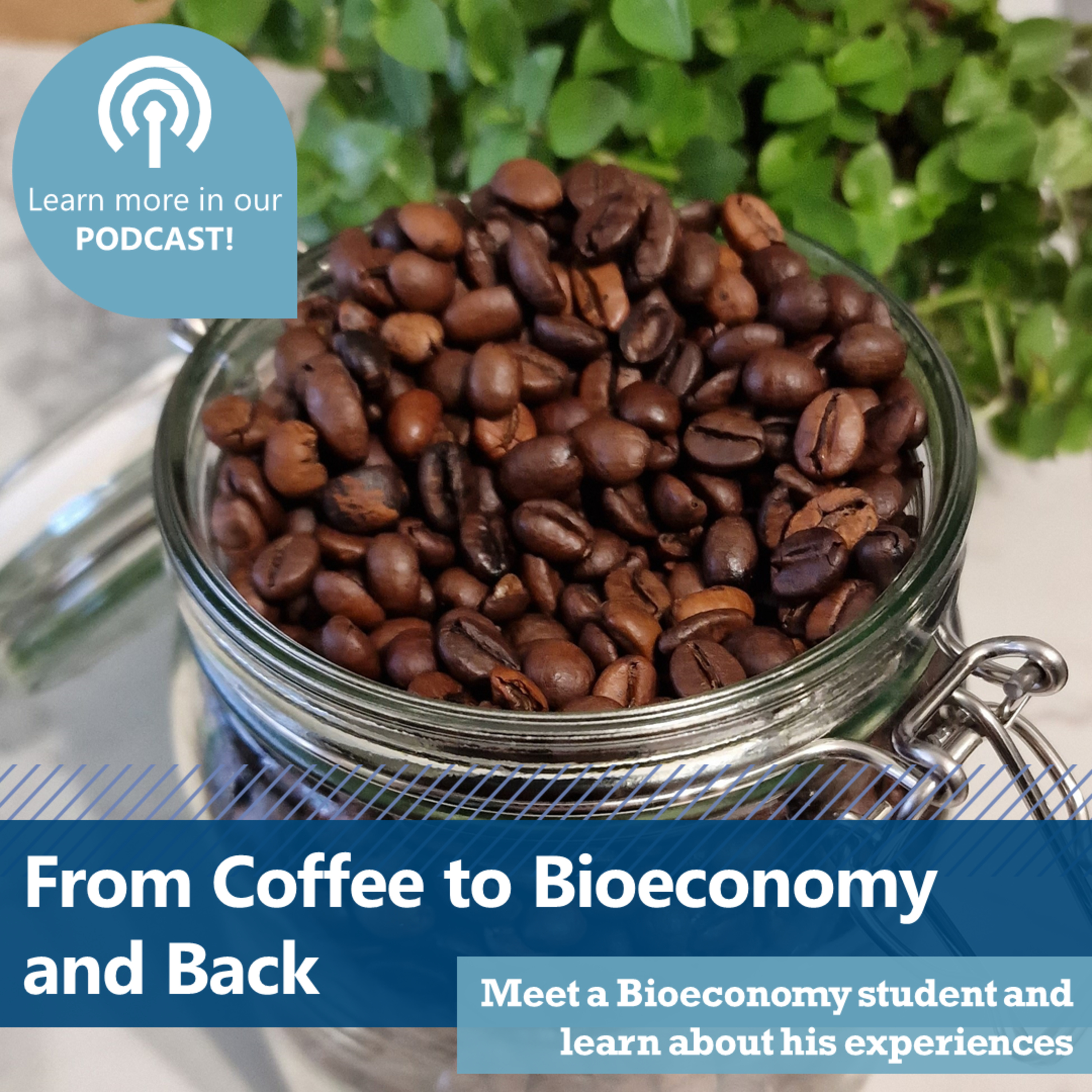 From Coffee to Bioeconomy and back?