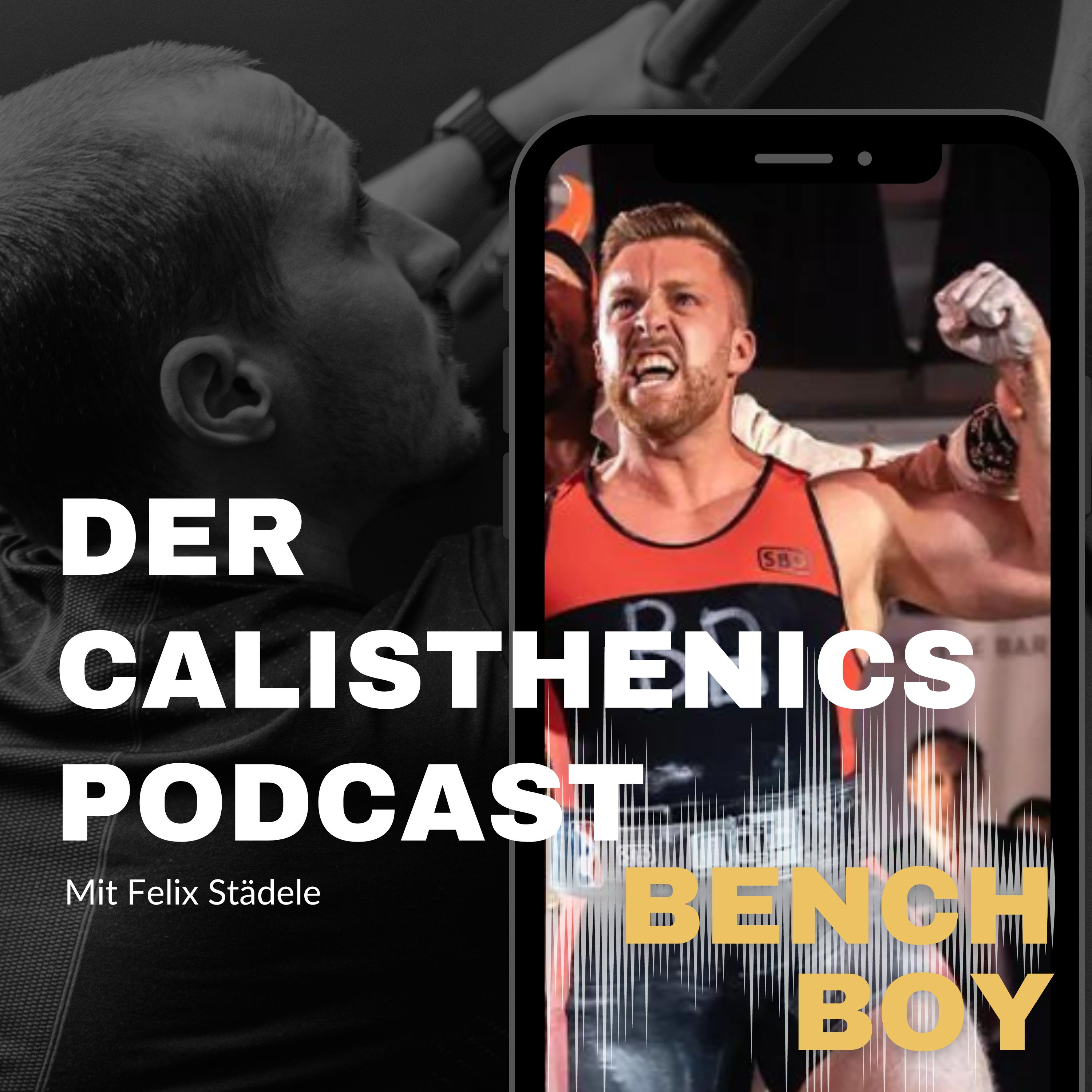 Der Calisthenics Podcast