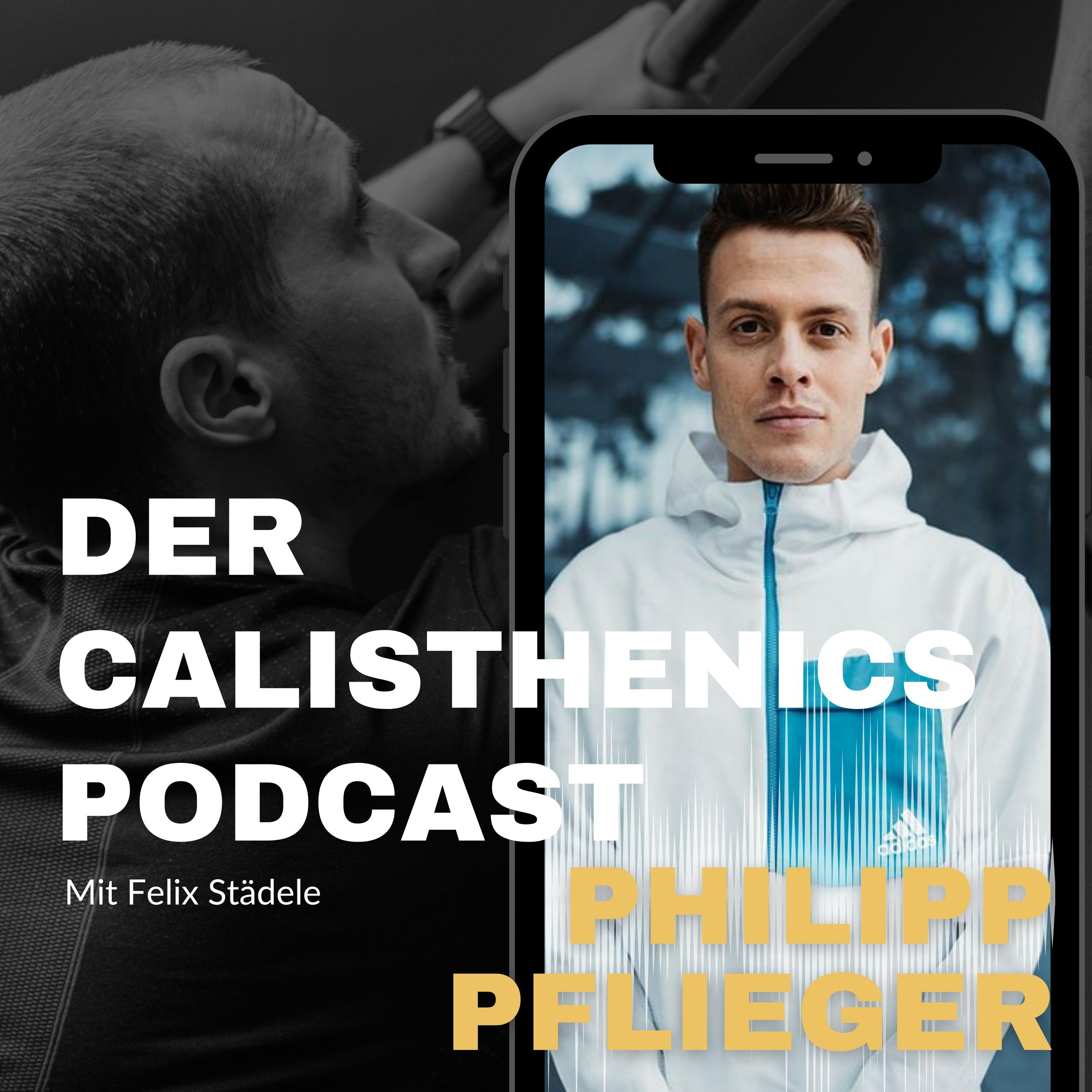 Der Calisthenics Podcast