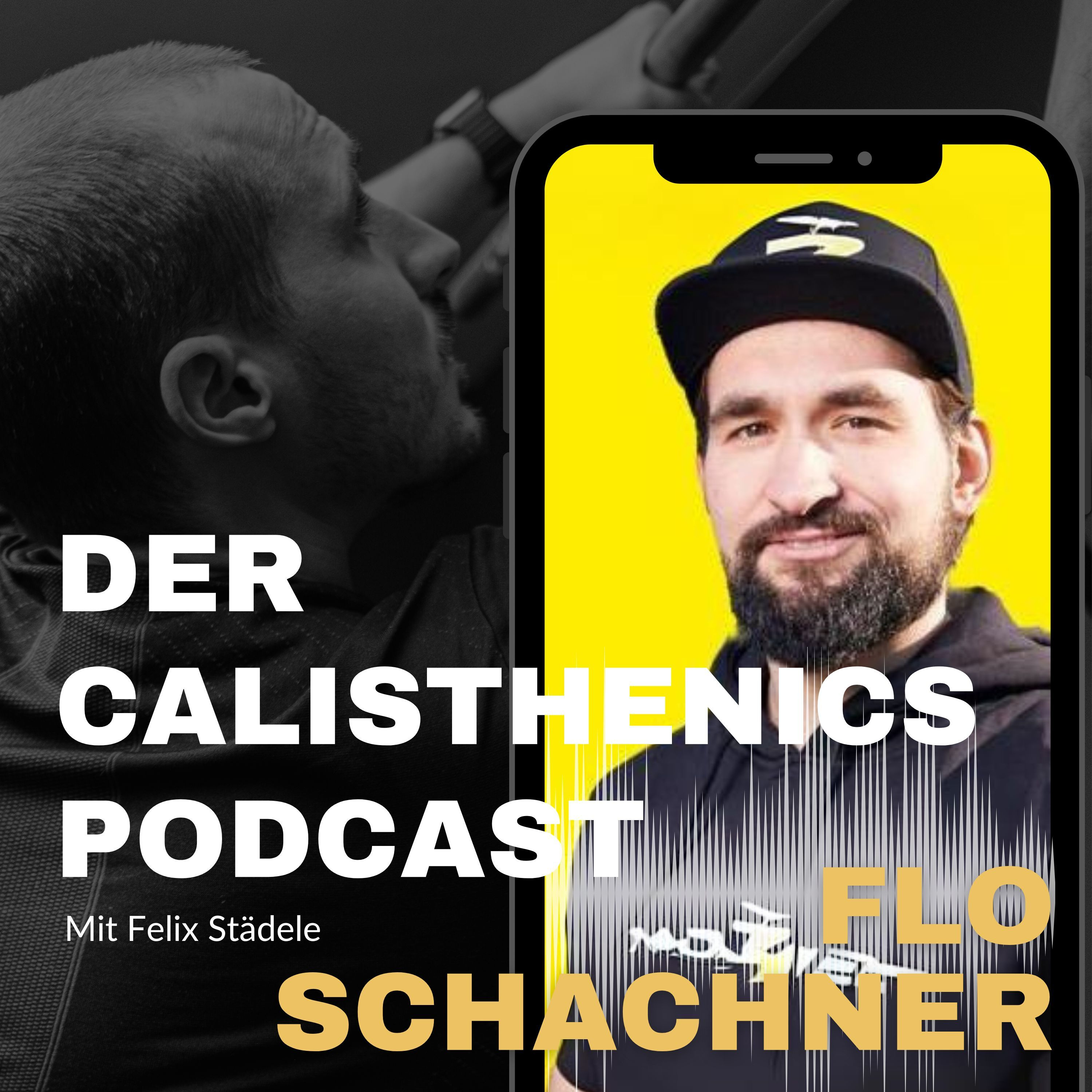 Der Calisthenics Podcast