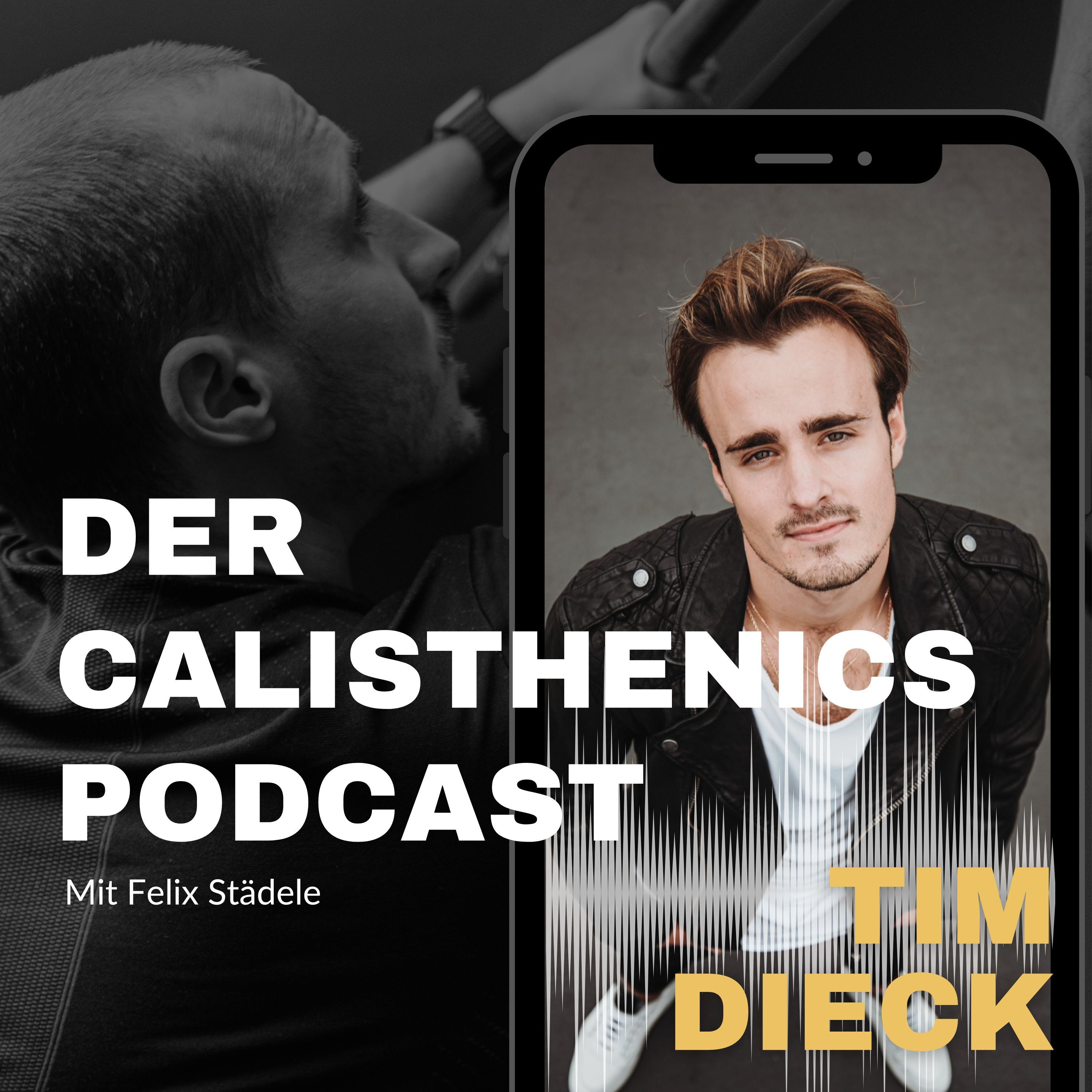 Der Calisthenics Podcast