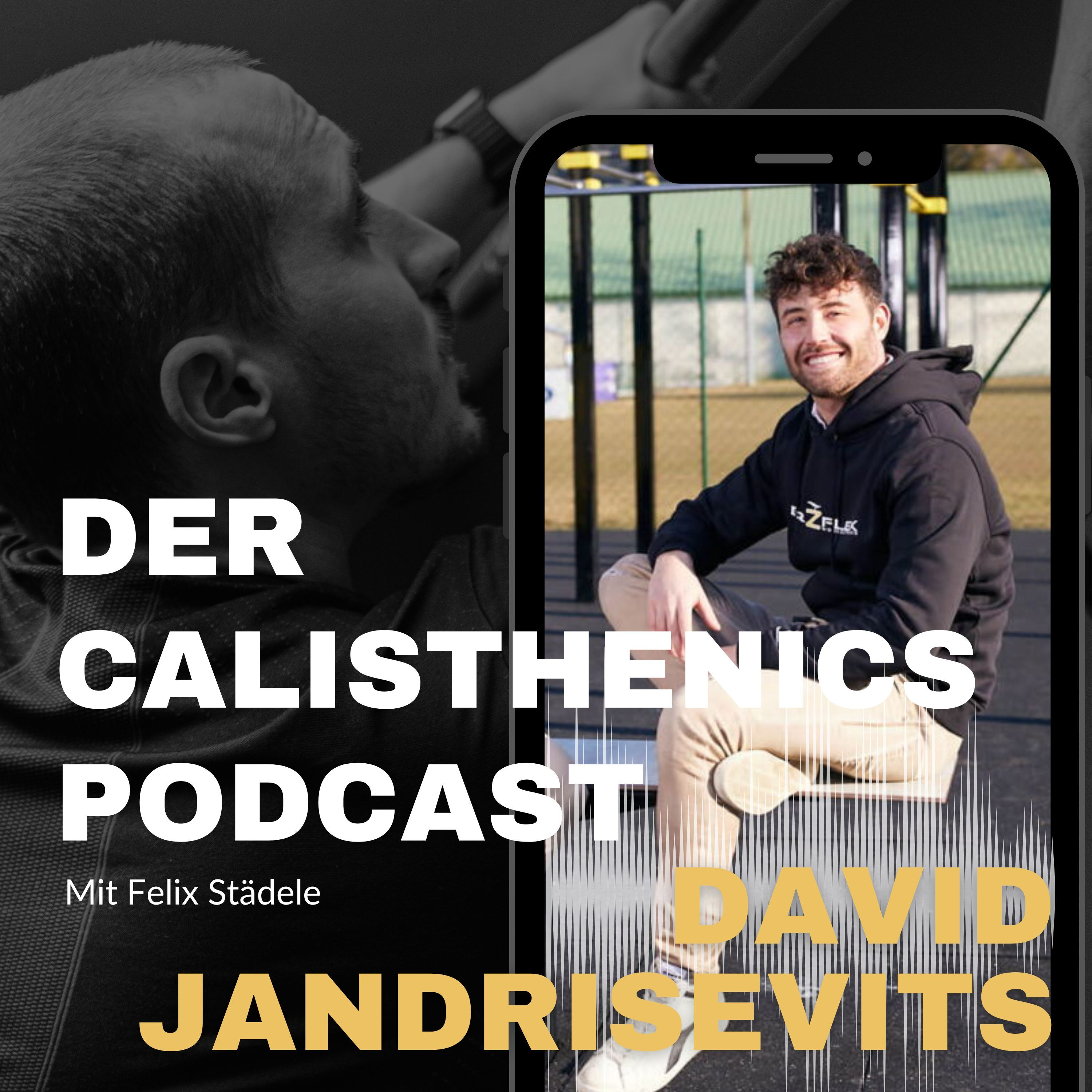 #292 - DAVID JANDRISEVITS: So baust du einen Calisthenics Park in deiner Gemeinde episode artwork