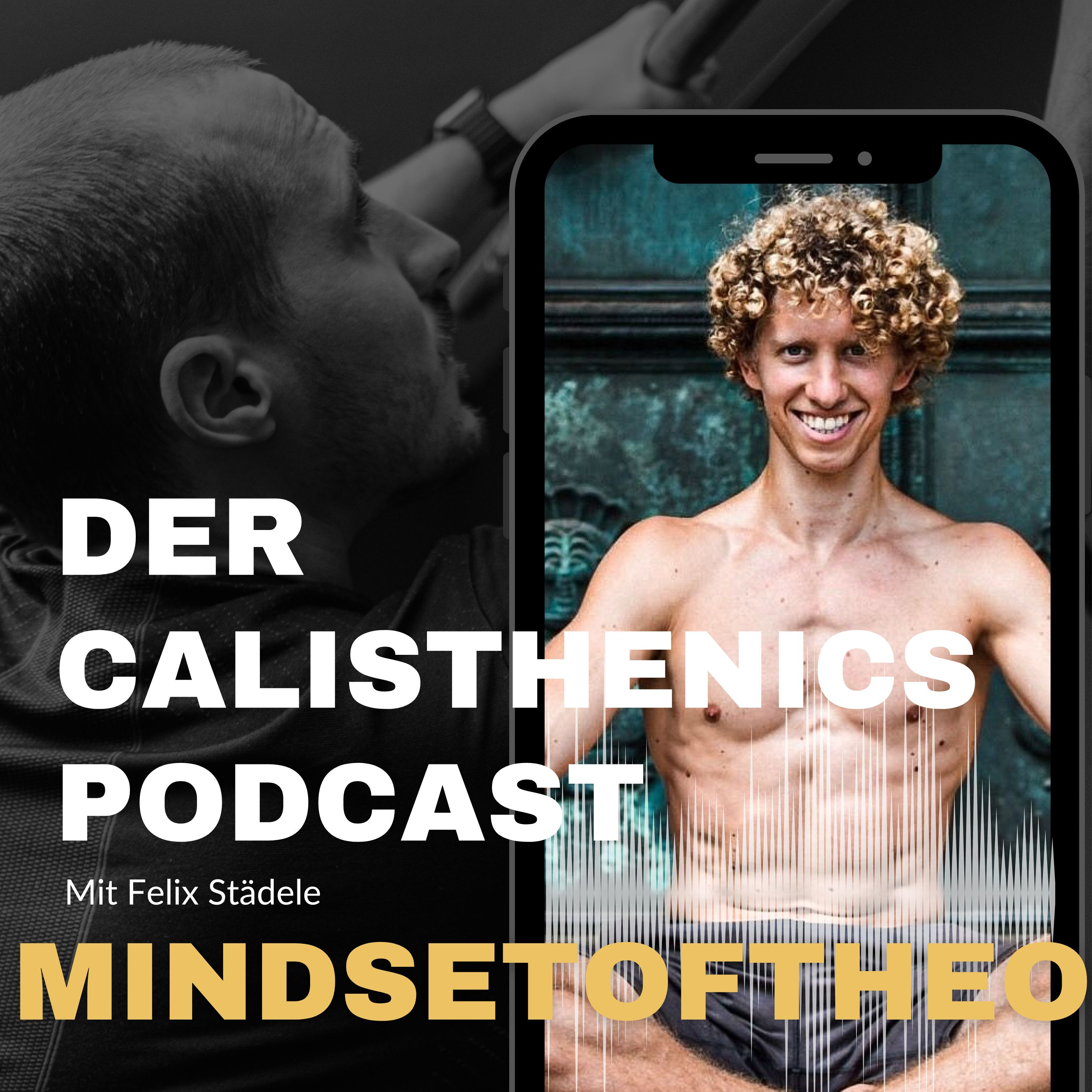 Der Calisthenics Podcast