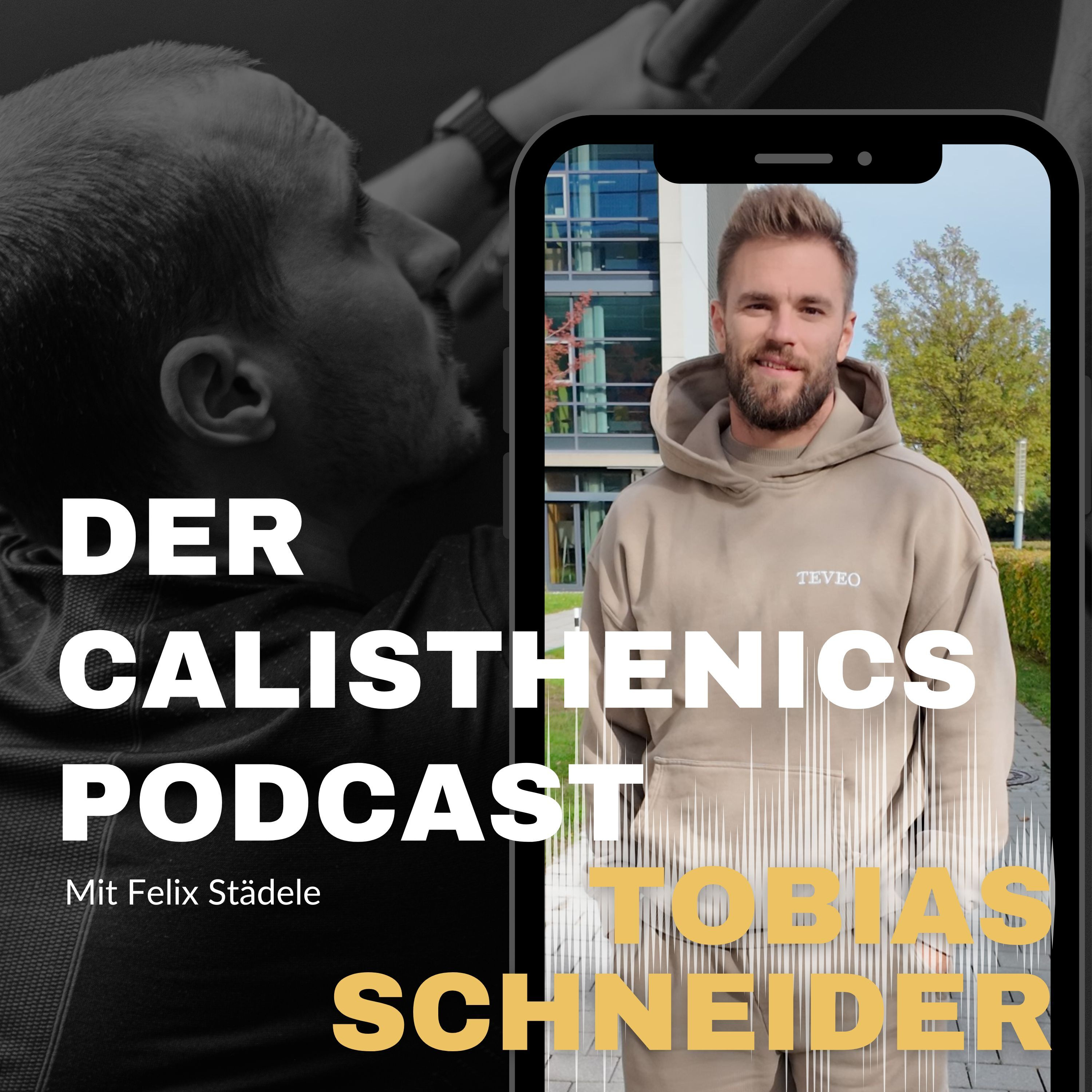 Der Calisthenics Podcast